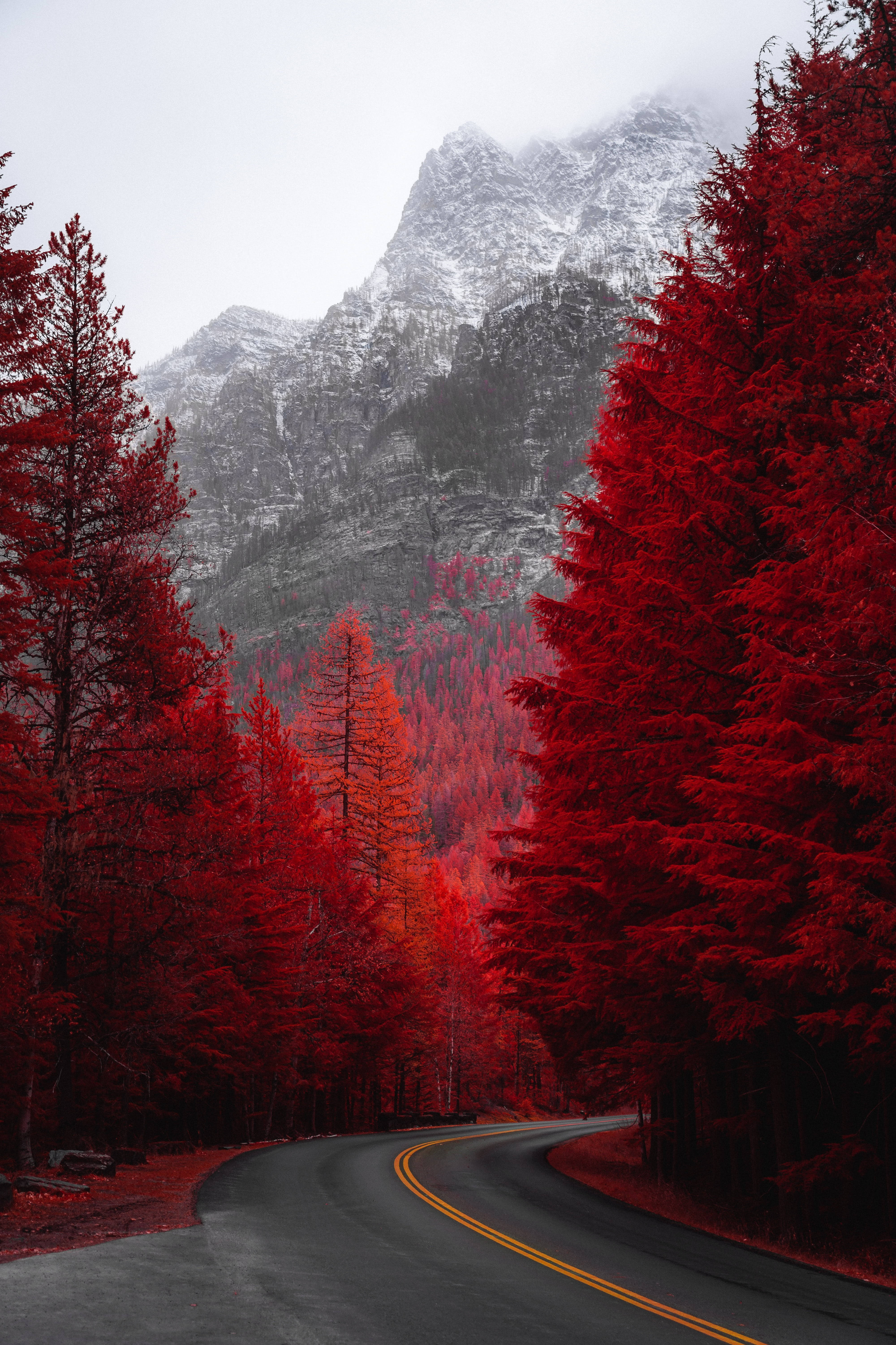 Paisajes de árboles otoñales Fondos de pantalla