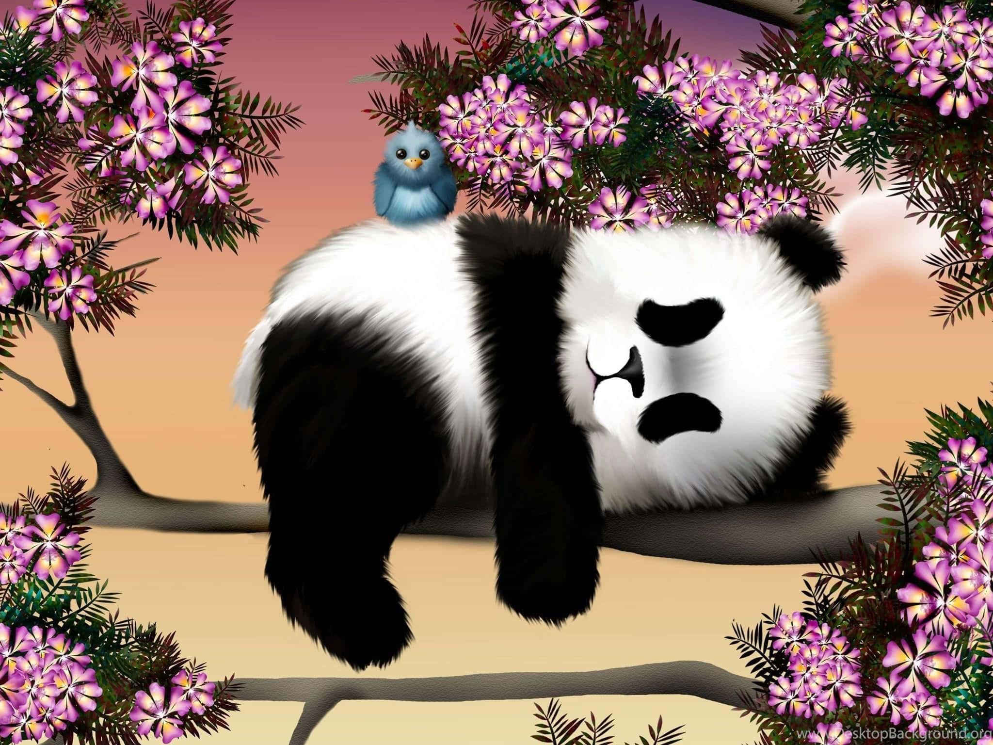 Pájaro en una laptop panda Fondos de pantalla