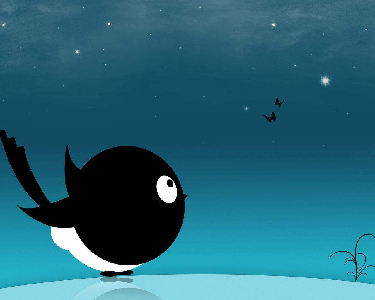 Pájaro Negro Cielo Estrellado Escritorio Lindo Fondos de pantalla