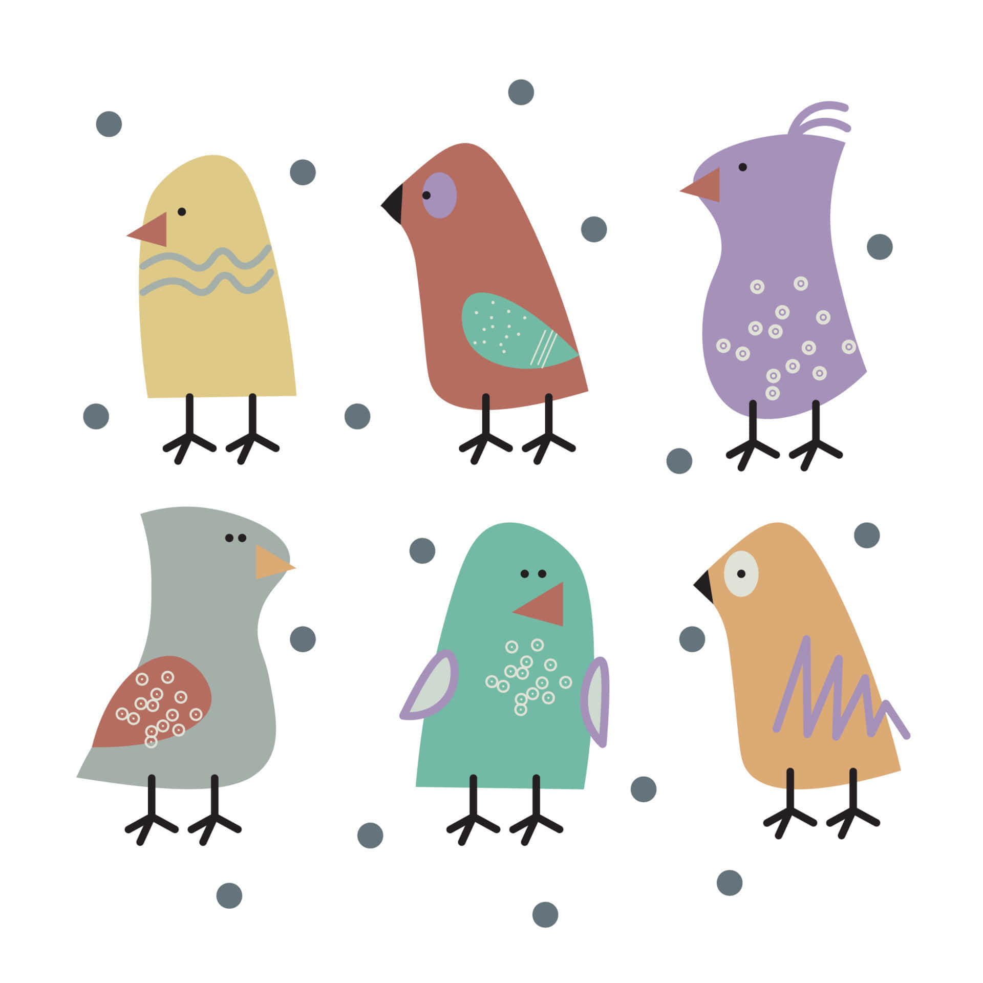Pájaros Coloridos Cosas Lindas Fondos de pantalla