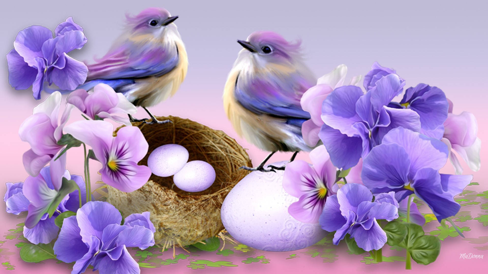 Pájaros Lila Primaverales Adorables Fondos de pantalla
