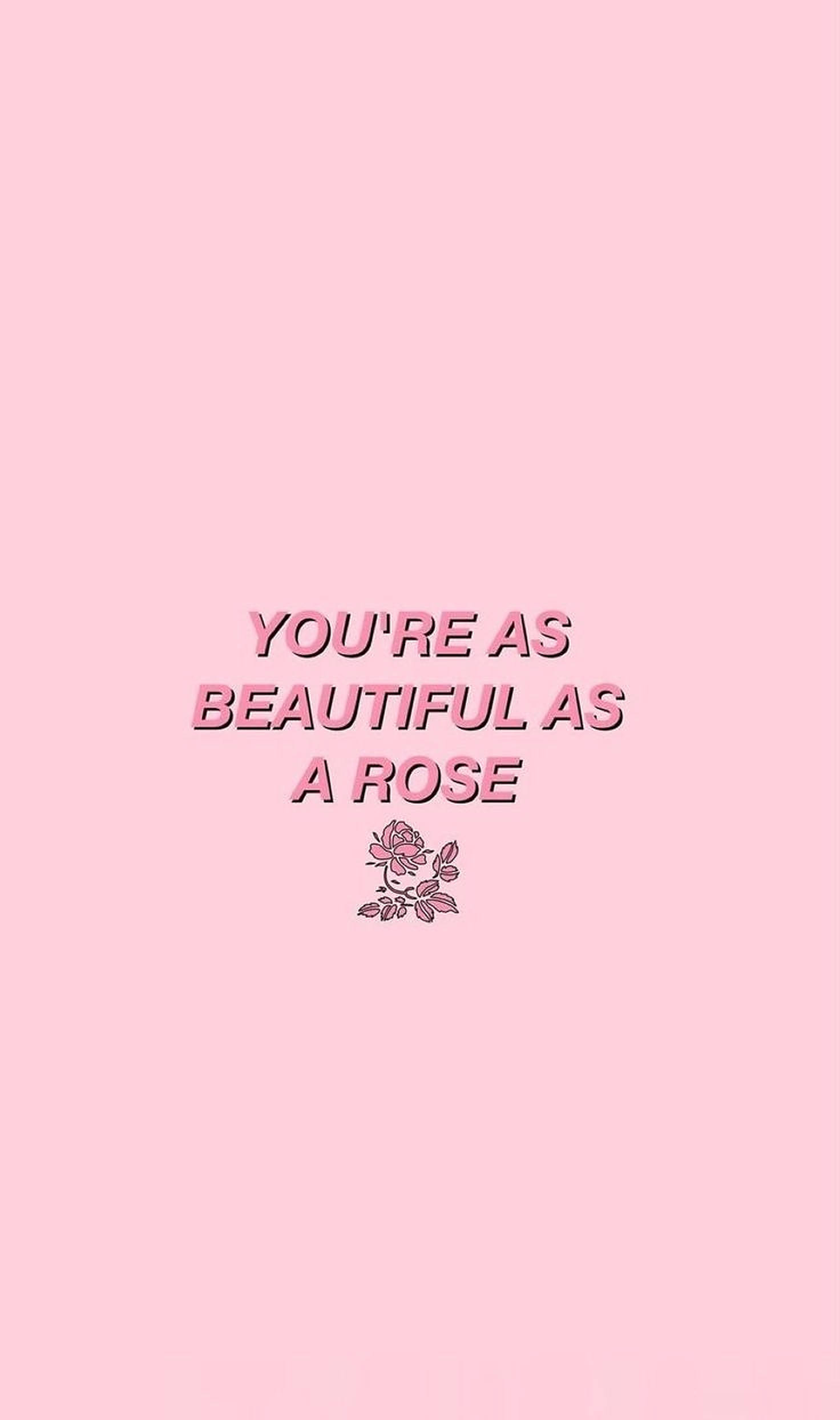 Palabras estéticas de rosa rosa Fondos de pantalla