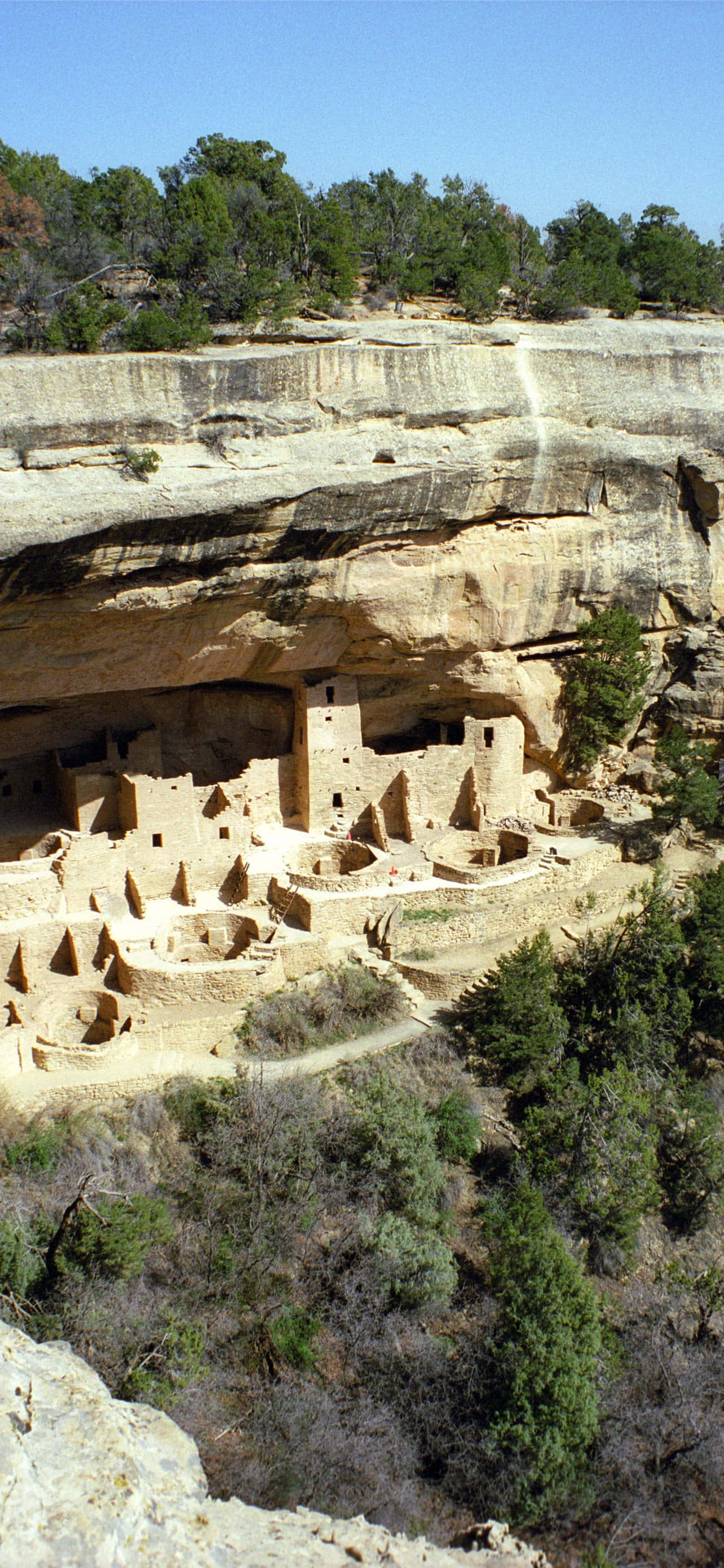 Palacio del Acantilado Color Café Parque Nacional Mesa Verde Fondos de pantalla