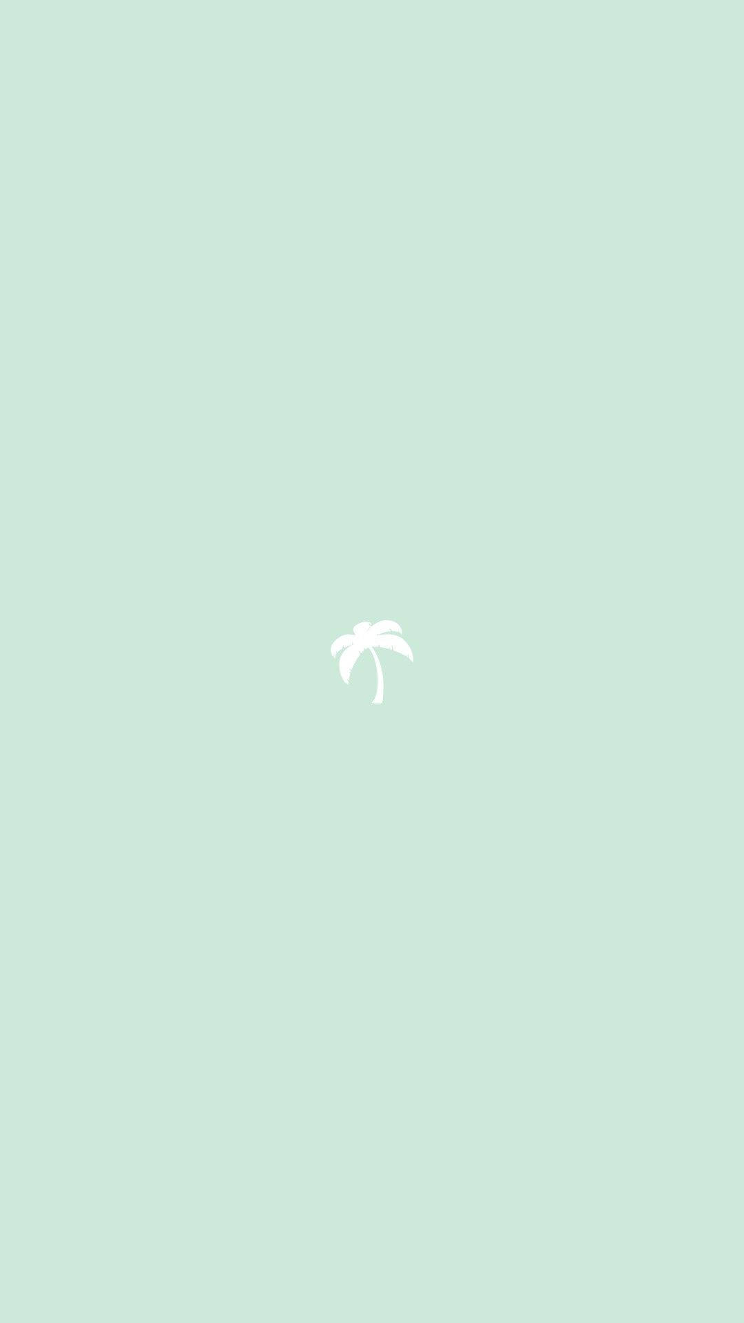 Palmera minimalista estética verde claro Fondos de pantalla
