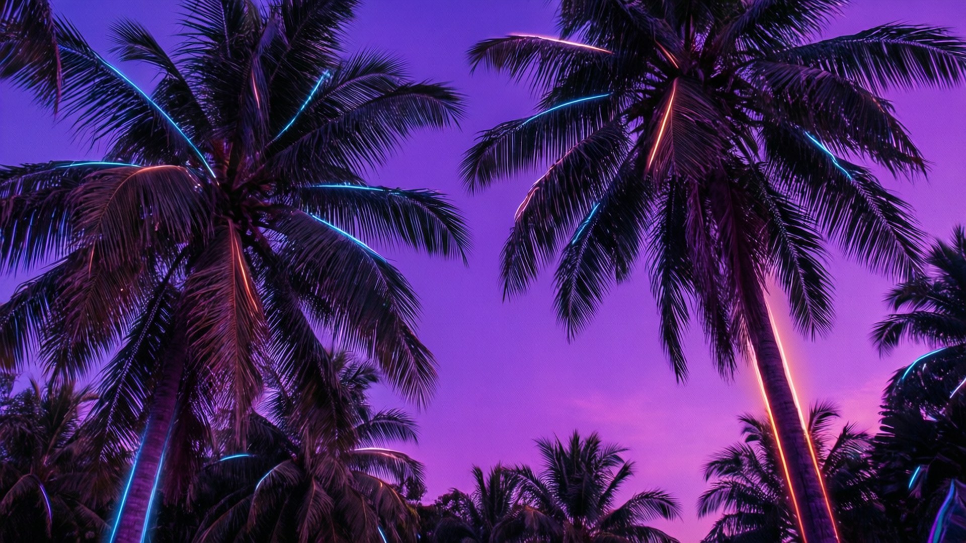 Palmeras de Neón Fondos de pantalla