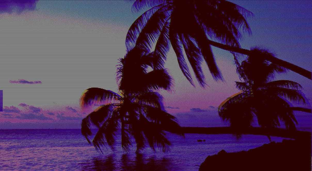 Palmeras oscuras estéticas Fondos de pantalla