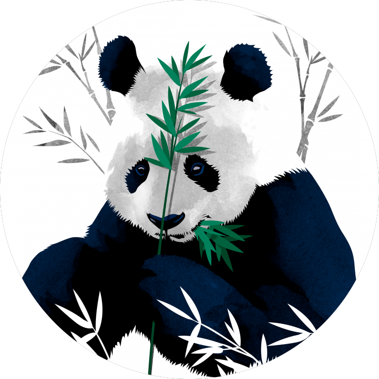 Panda comiendo bambú - Arte vectorial Fondos de pantalla