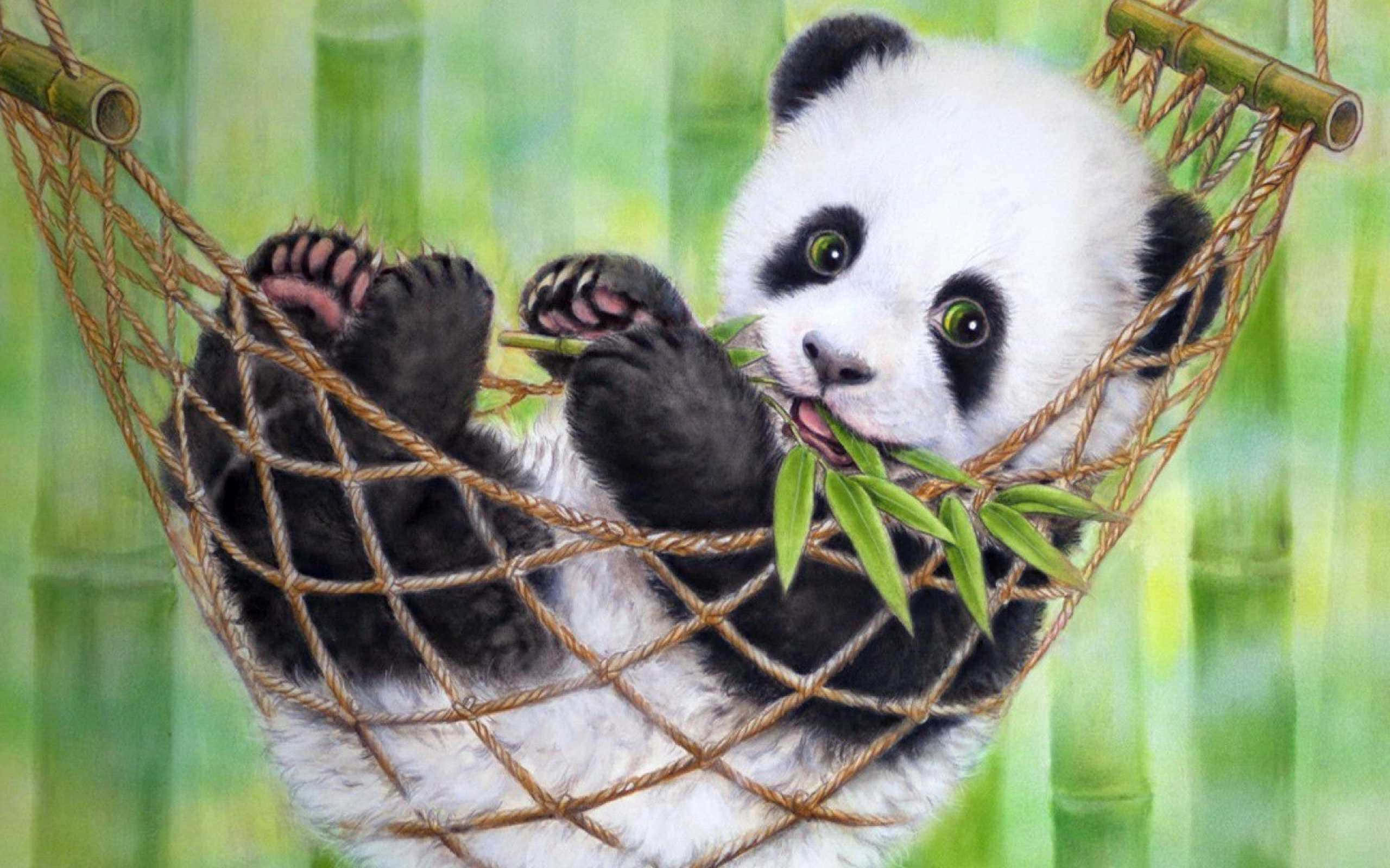 Panda Laptop en una Hamaca Fondos de pantalla