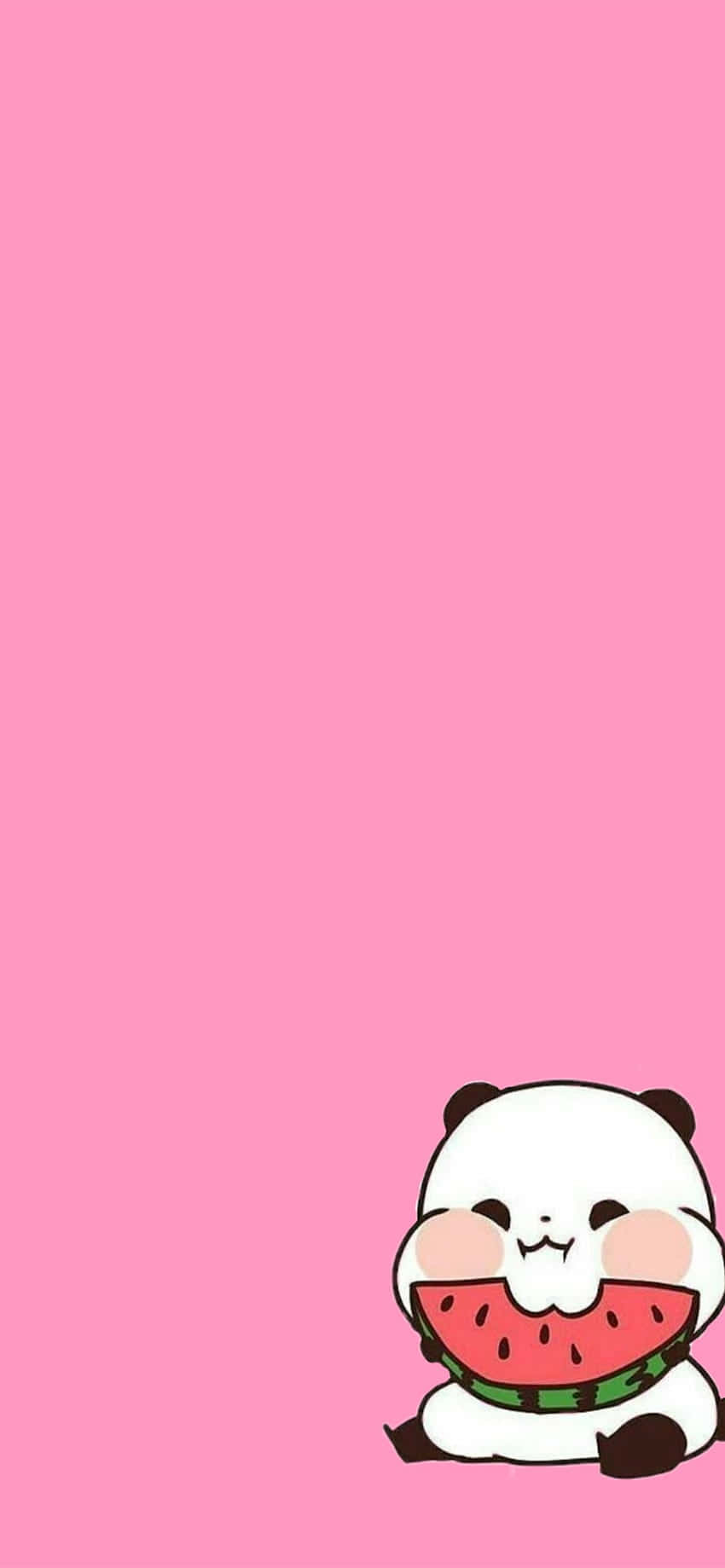 Panda lindo y femenino con sandía rosa Fondos de pantalla