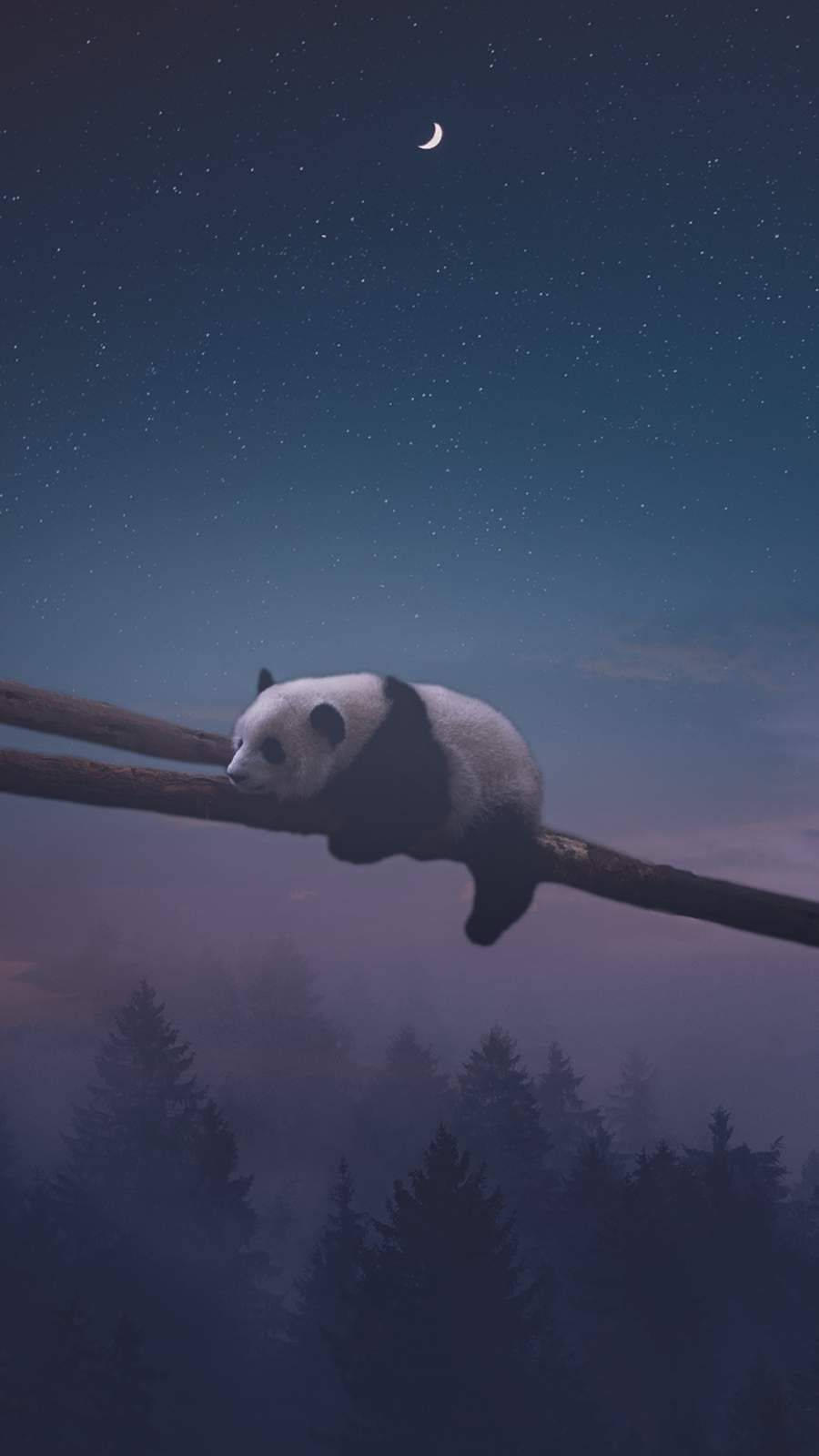 Panda Nocturno Durmiendo Fondos de pantalla
