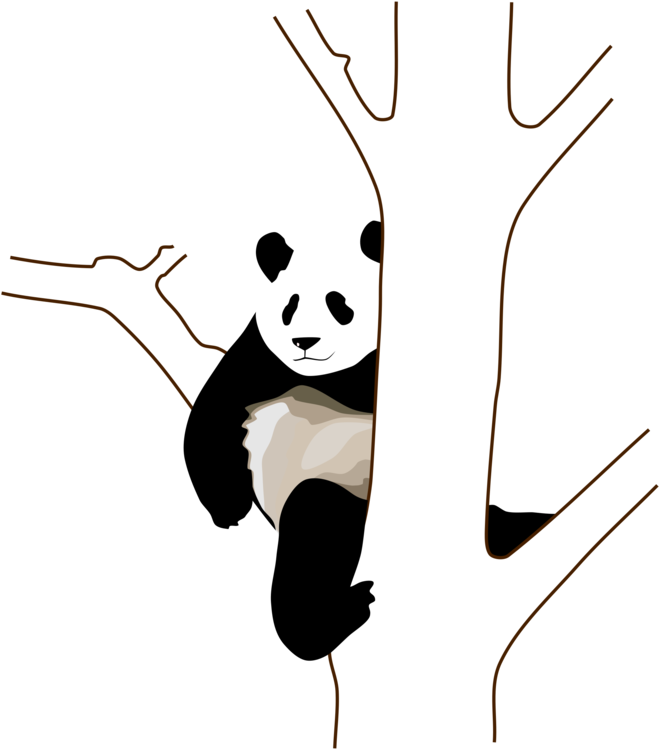 Panda Relajado Abrazado a un Árbol Fondos de pantalla