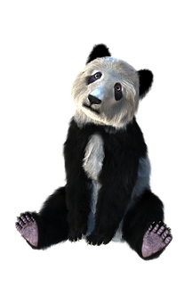 Panda Sentado Surrealista Fondos de pantalla