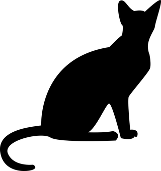 Pantalla negra de marcador de posición.JPG Fondos de pantalla