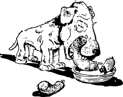 Pantalla Negra de Respaldo Fondos de pantalla