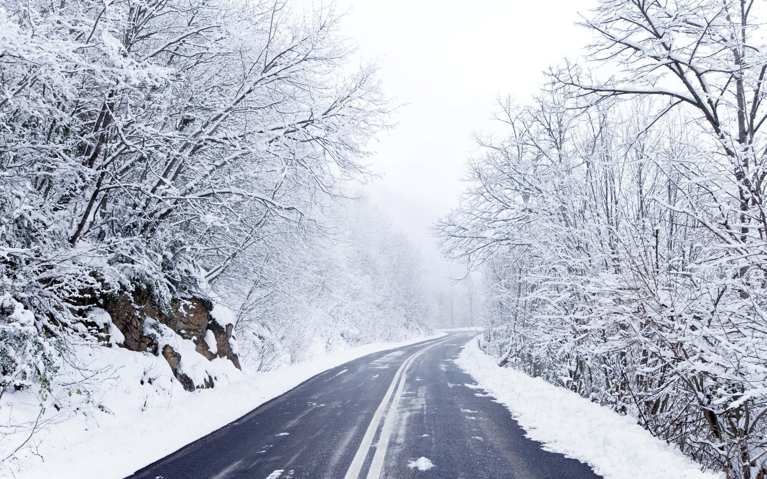 Paraíso Invernal en un Camino Helado Fondos de pantalla