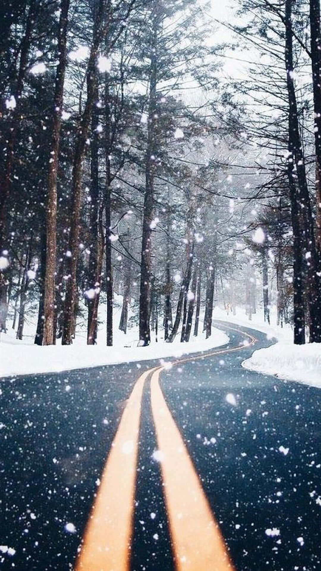 Paraíso Invernal Fondos de pantalla