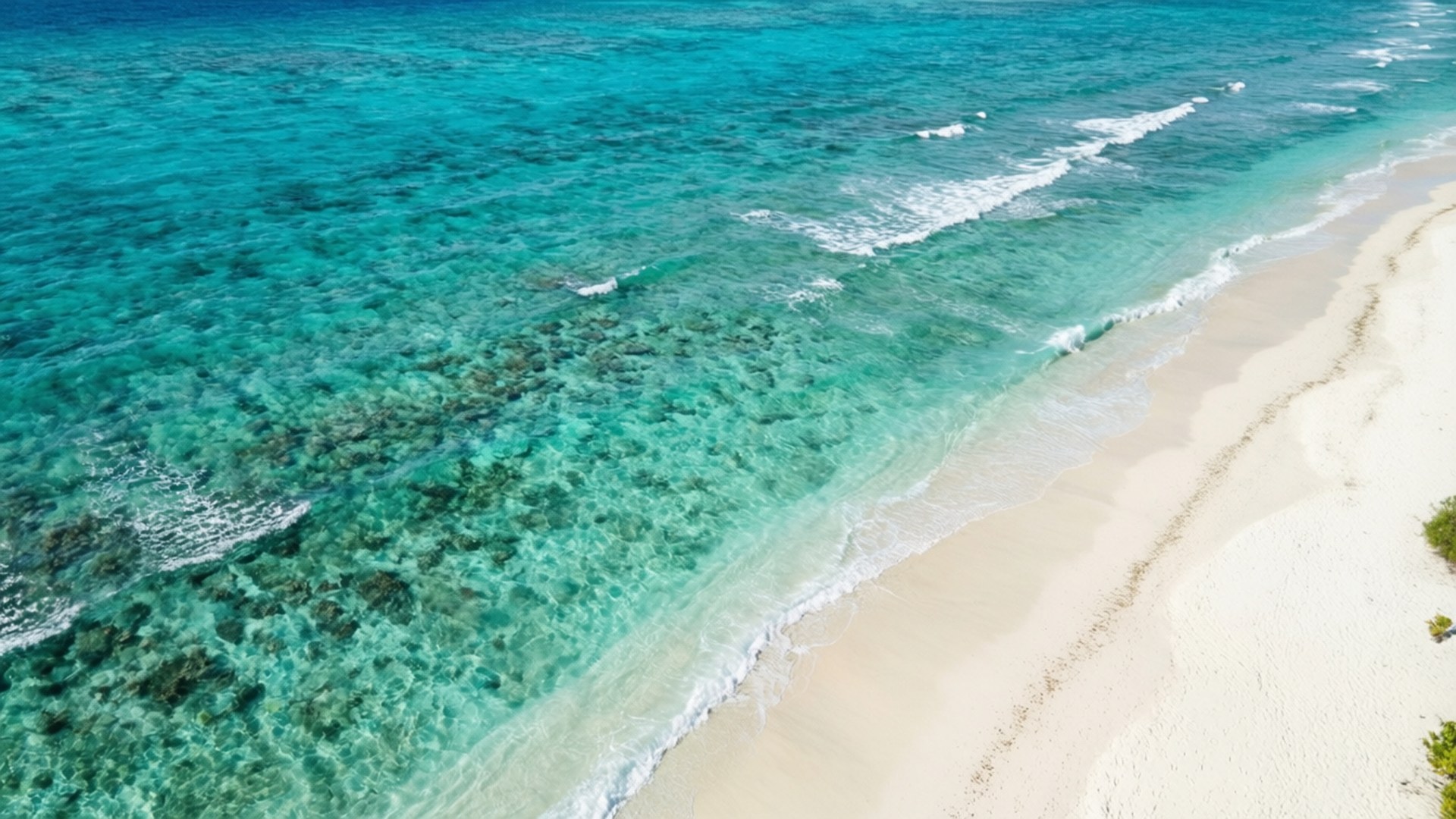 Paraíso Turquesa Fondos de pantalla
