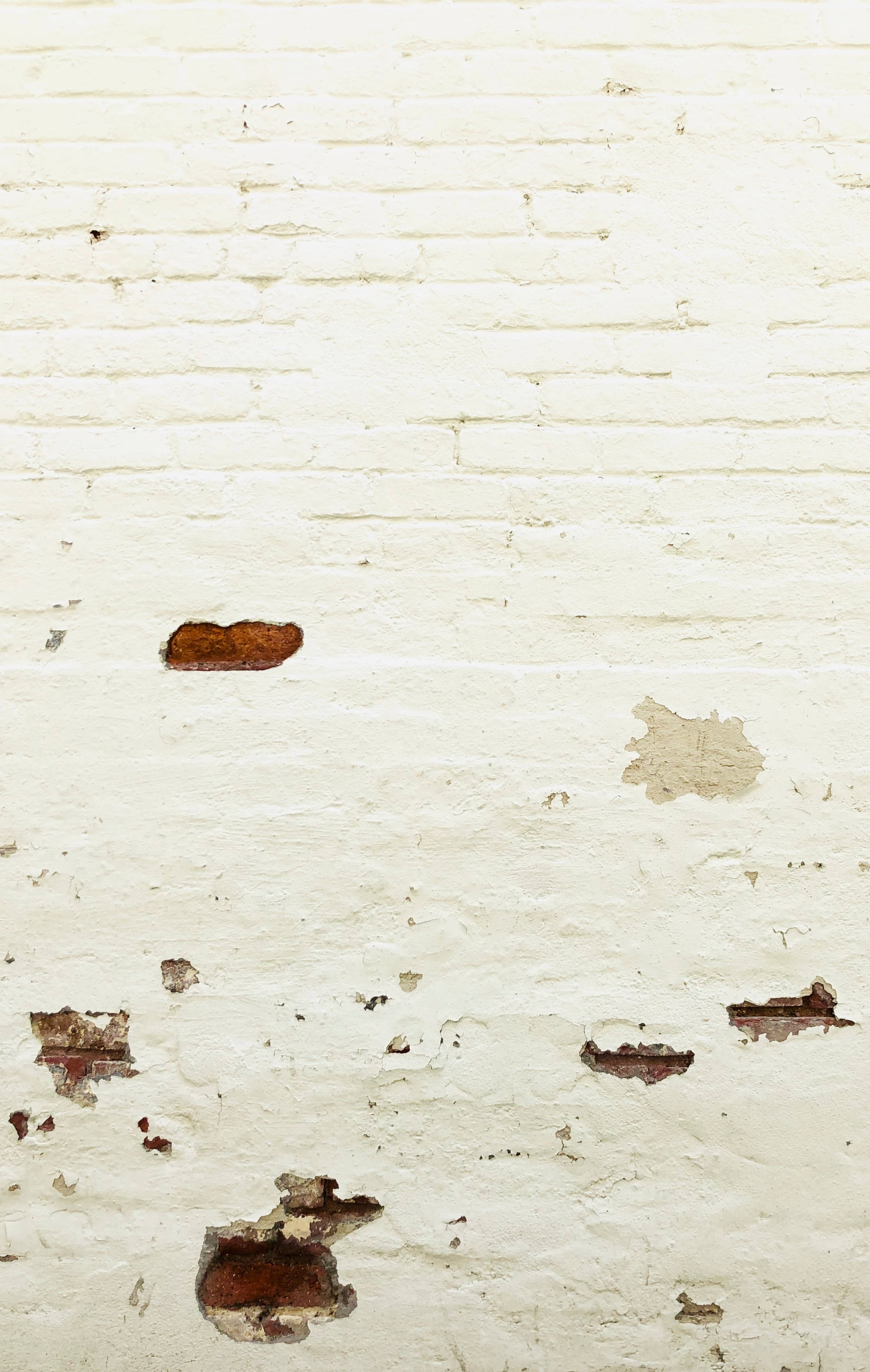 Pared de Ladrillos Blancos Desgastados Fondos de pantalla