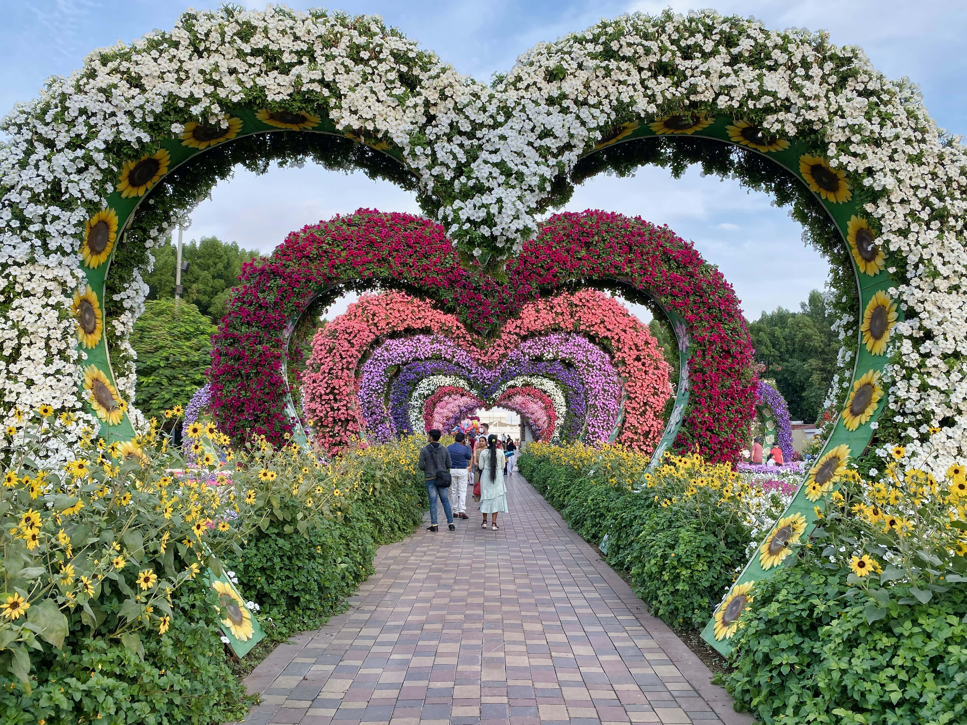 Pareja caminando por un jardín con un arco en forma de corazón Fondos de pantalla
