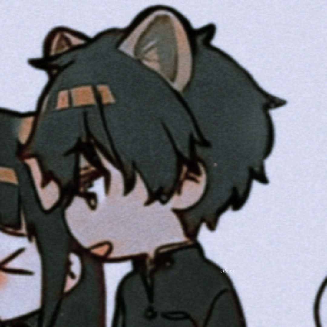 Pareja de Perfiles de Anime Niño Gato Fondos de pantalla