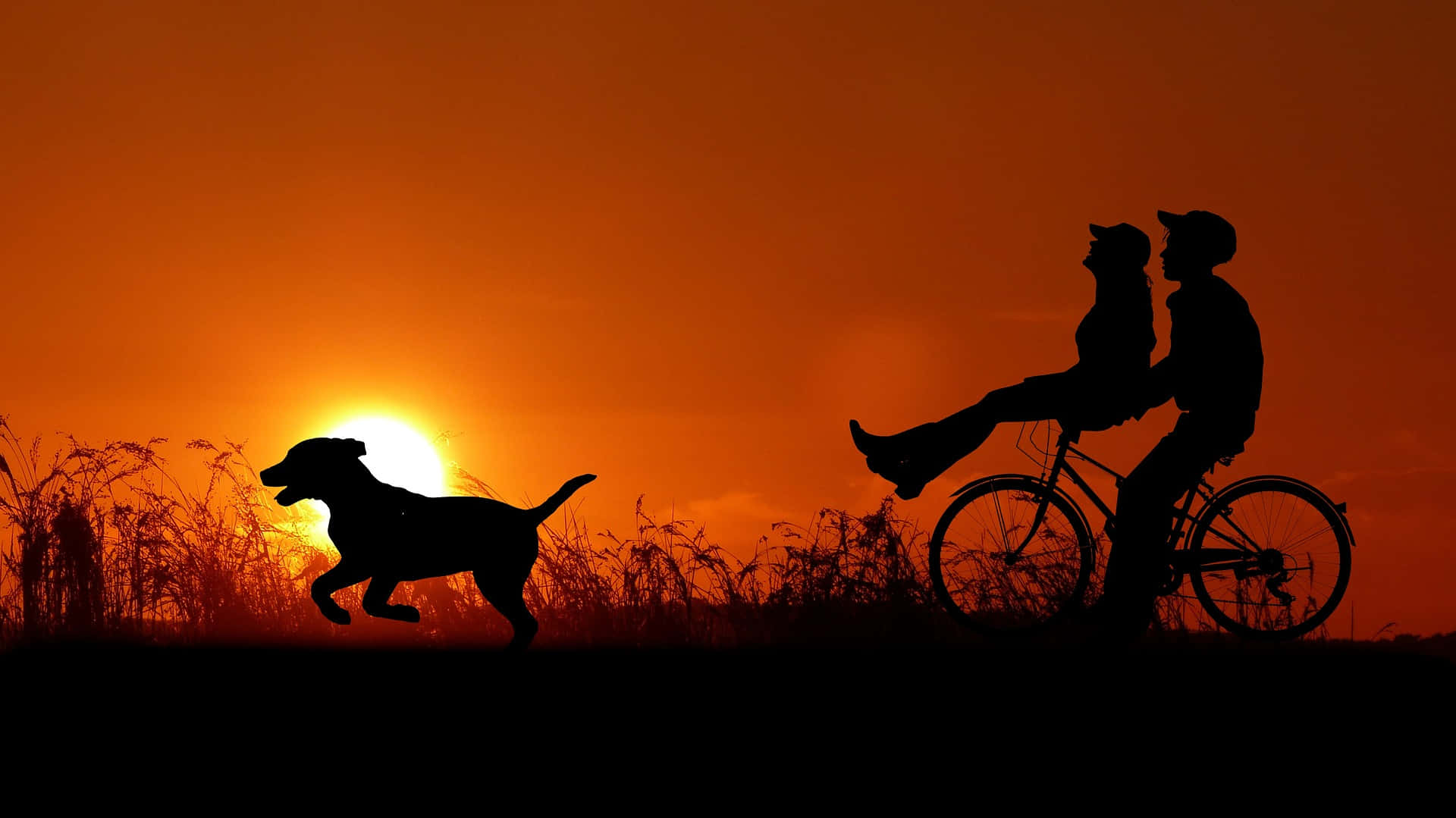 Pareja en bicicleta con perro Fondos de pantalla