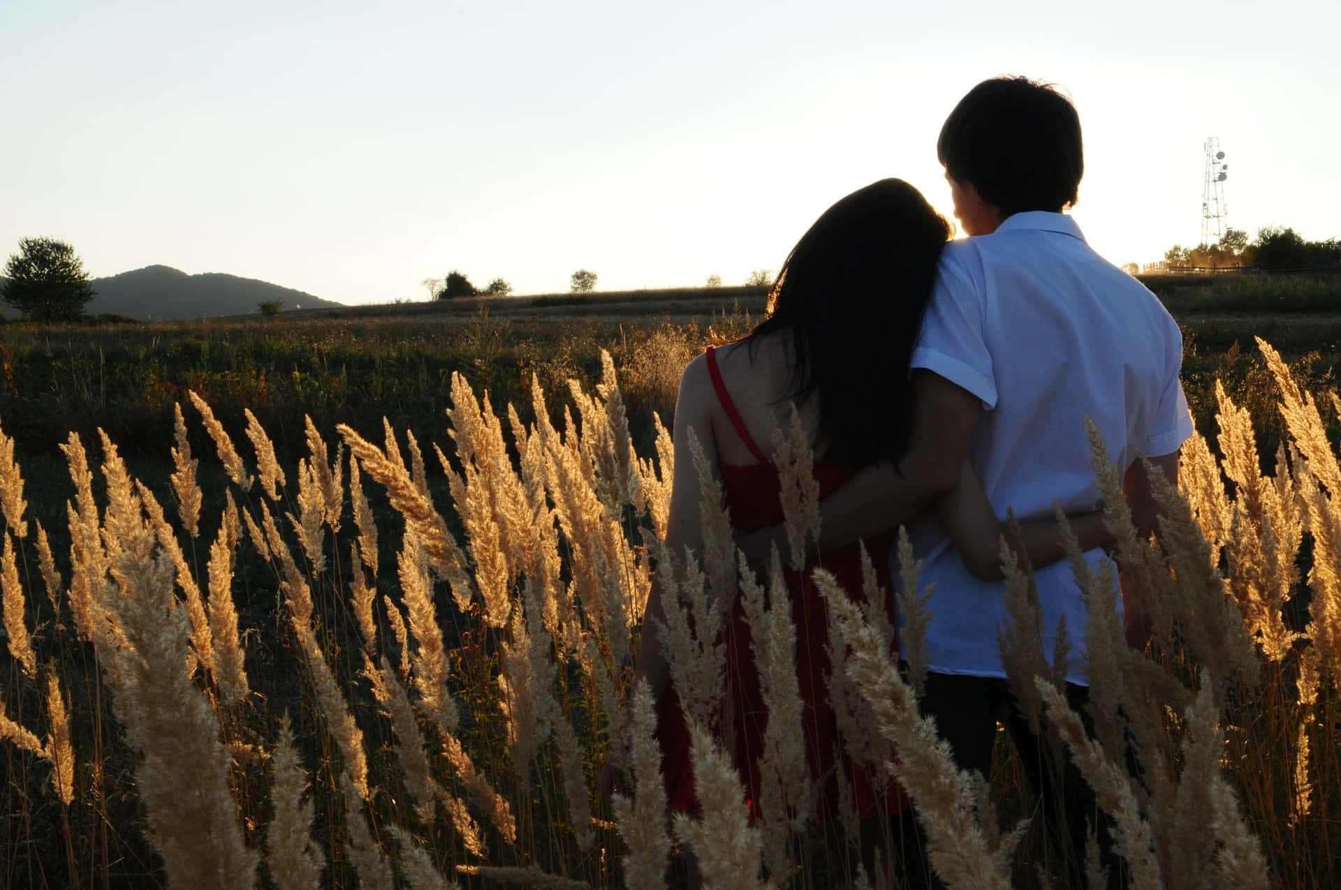 Pareja en campo de trigo foto de relación Fondos de pantalla