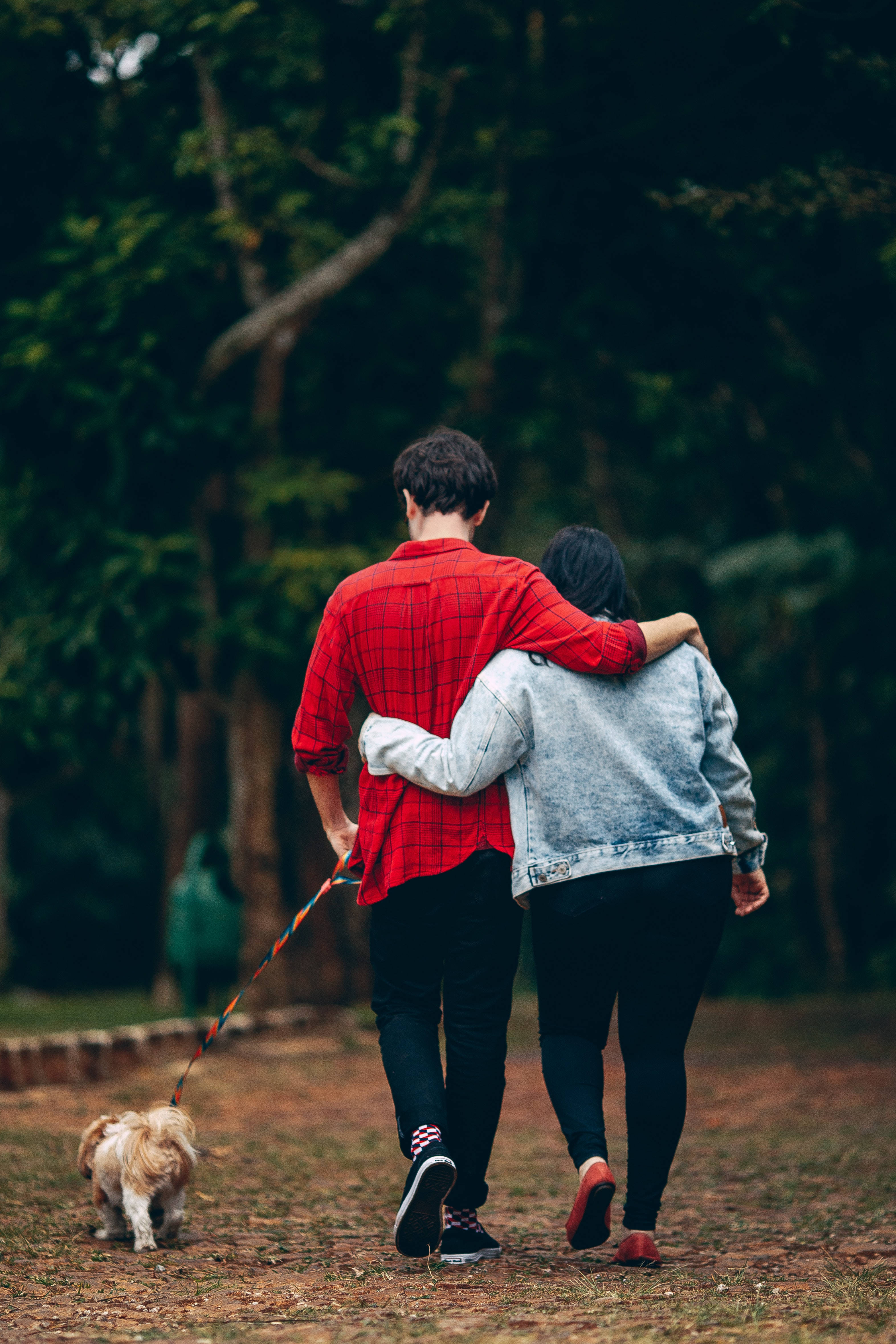 Pareja romántica paseando a su perro Fondos de pantalla