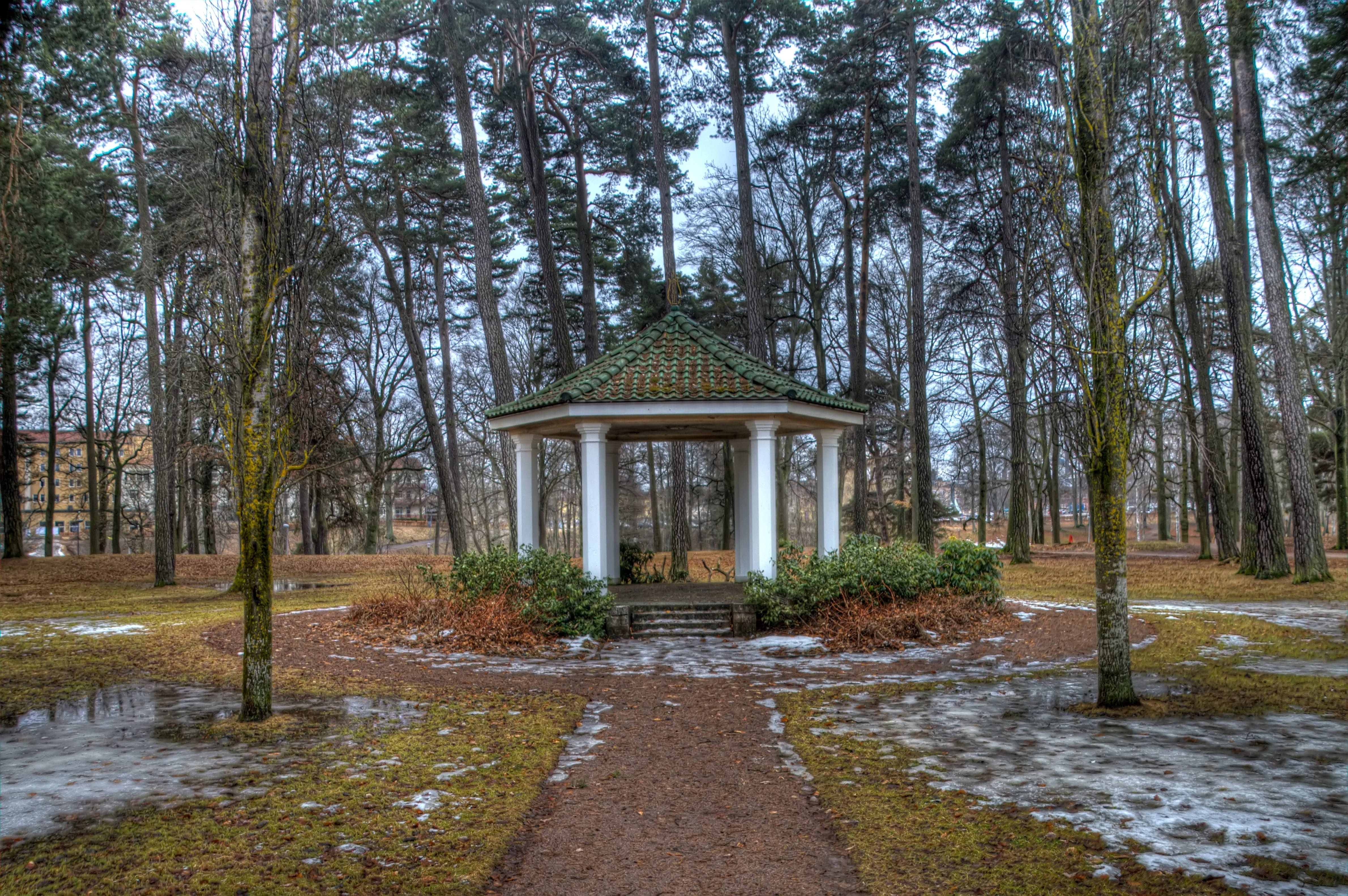 Parque de Primavera Fondos de pantalla