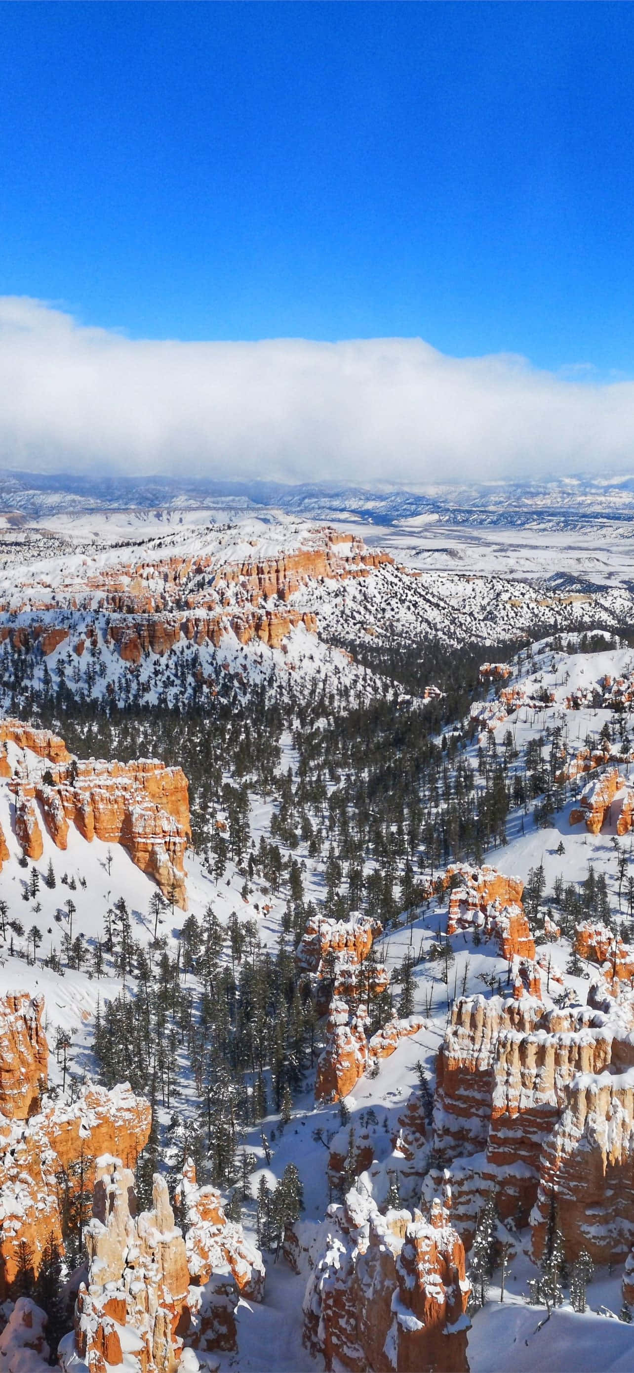 Parque Nacional Bryce Canyon Nieve Profunda Fondos de pantalla