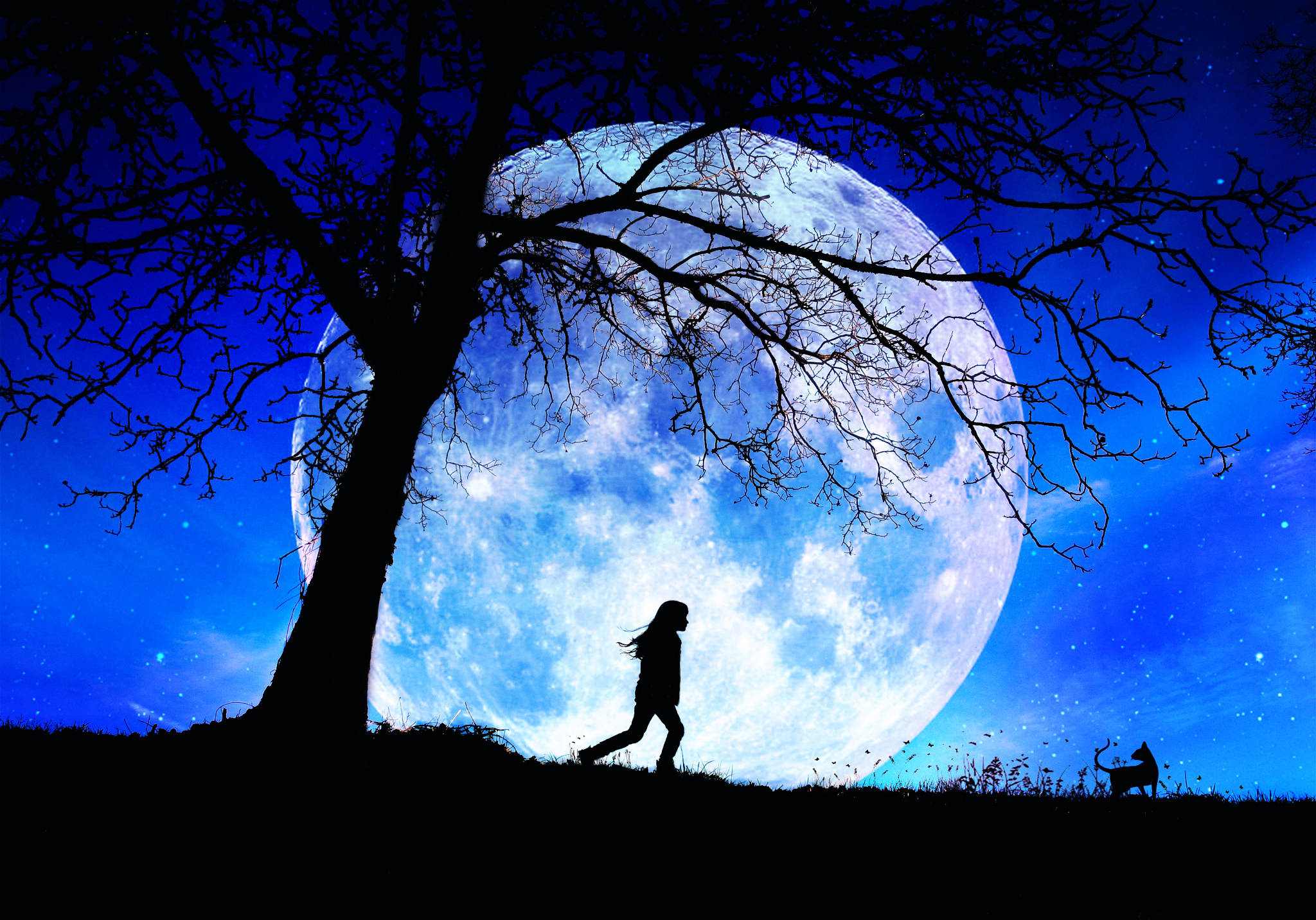 Paseando Bajo el Cielo Nocturno de la Luna Fondos de pantalla