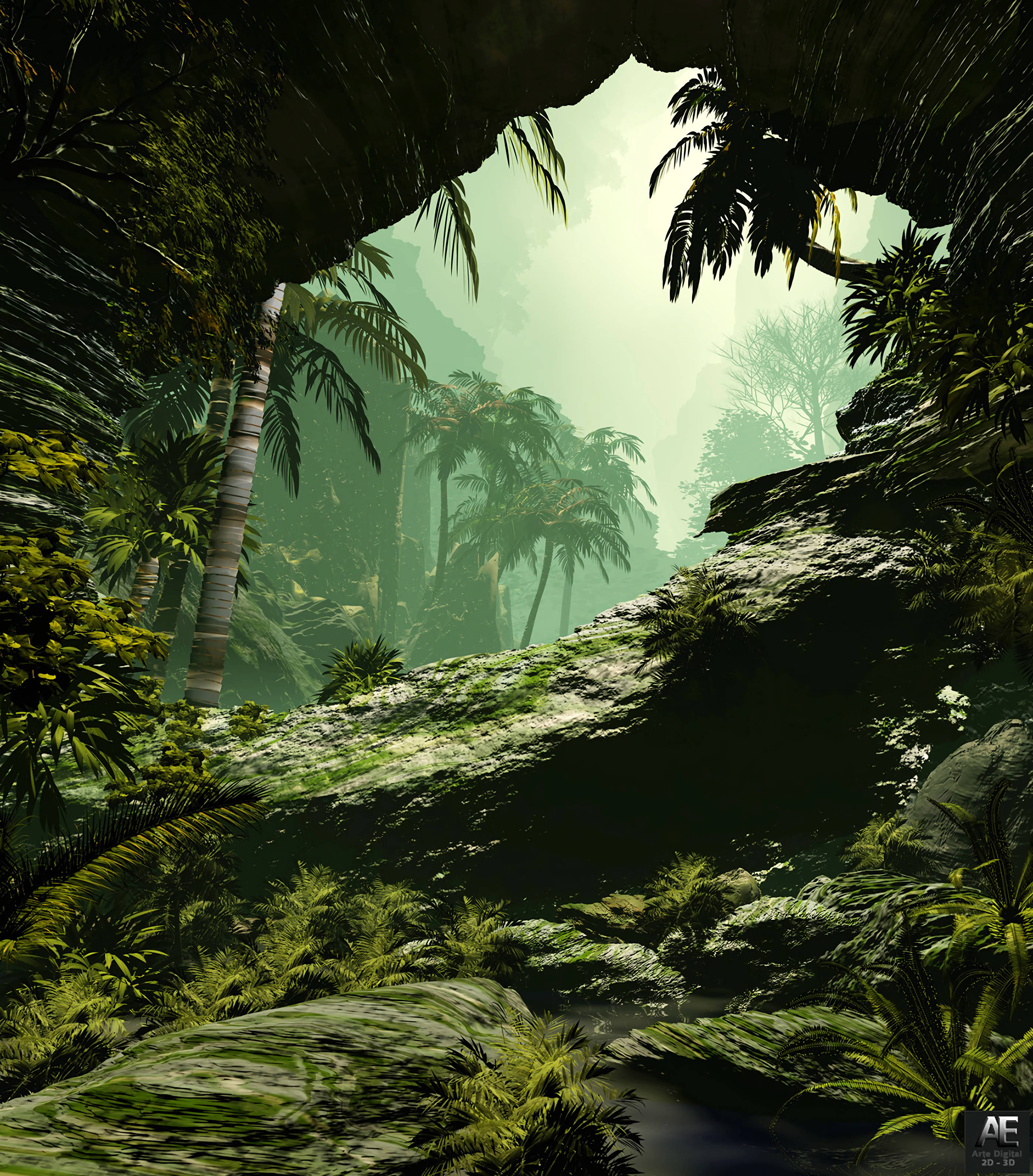 Paseando por la Jungla Neblinosa Fondos de pantalla
