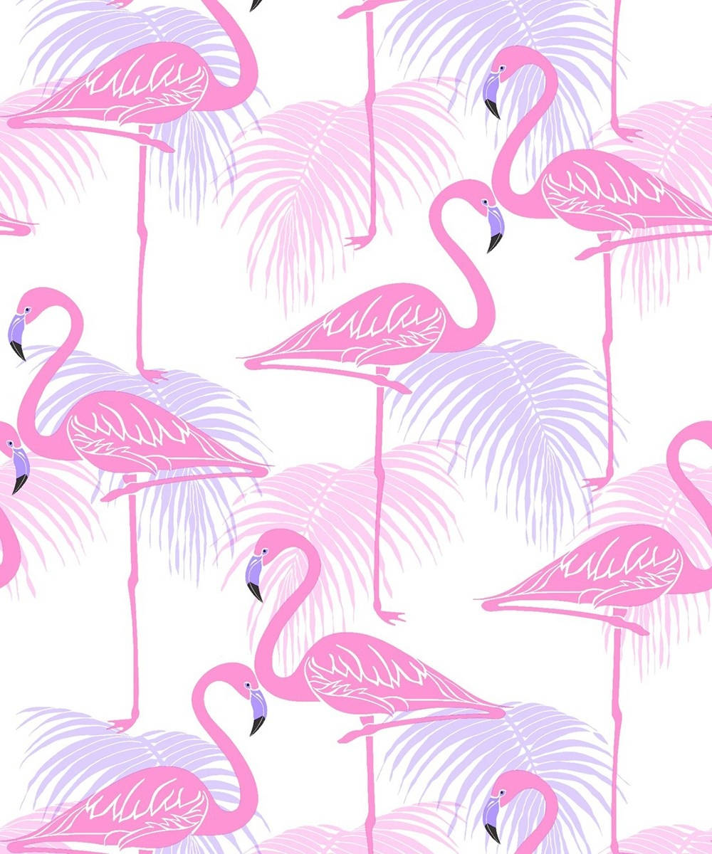 Patrón de flamencos en rosa y lila Fondos de pantalla