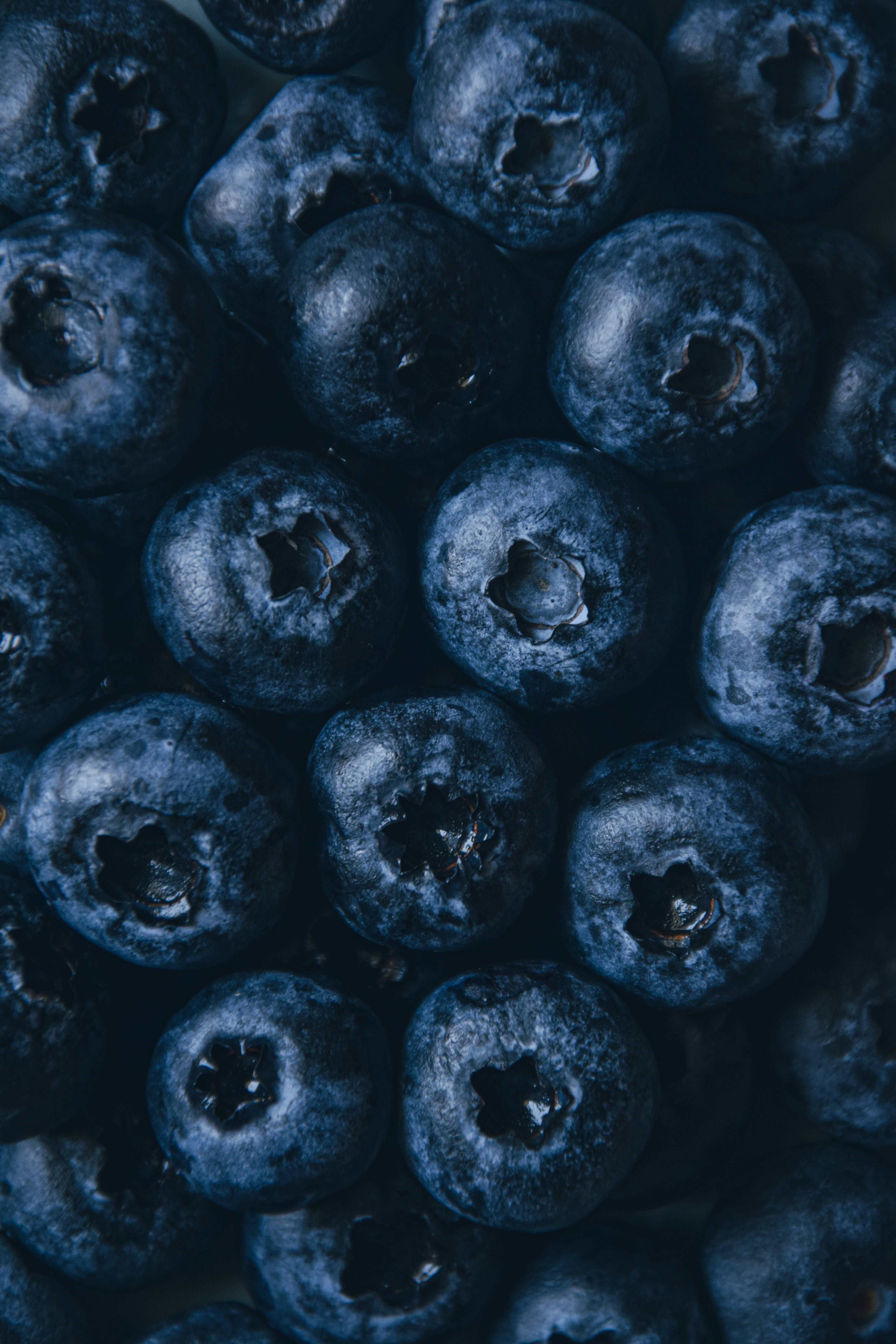 Patrón estético de arándanos azules Fondos de pantalla