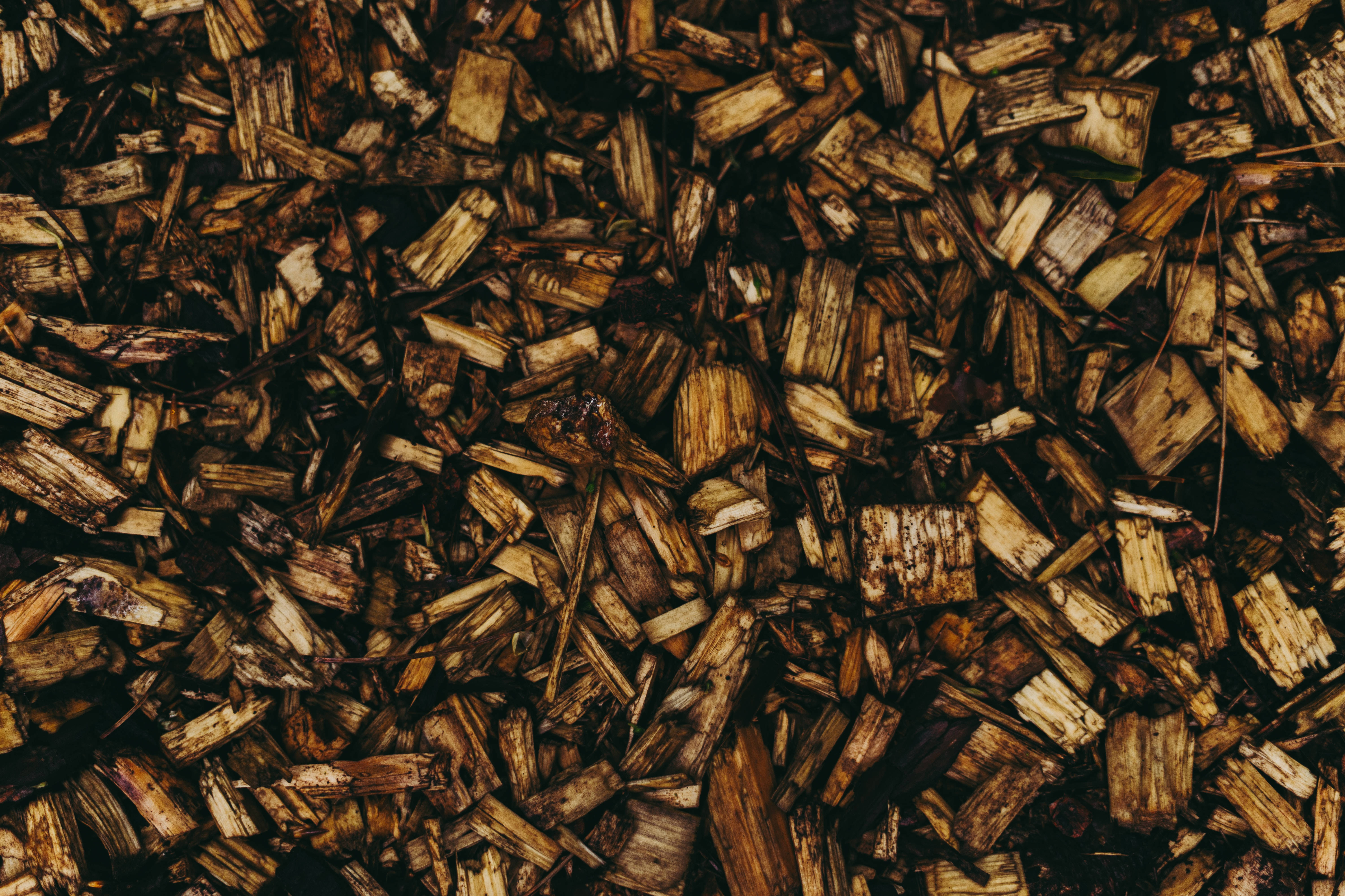 Patrón estético de astillas de madera Fondos de pantalla