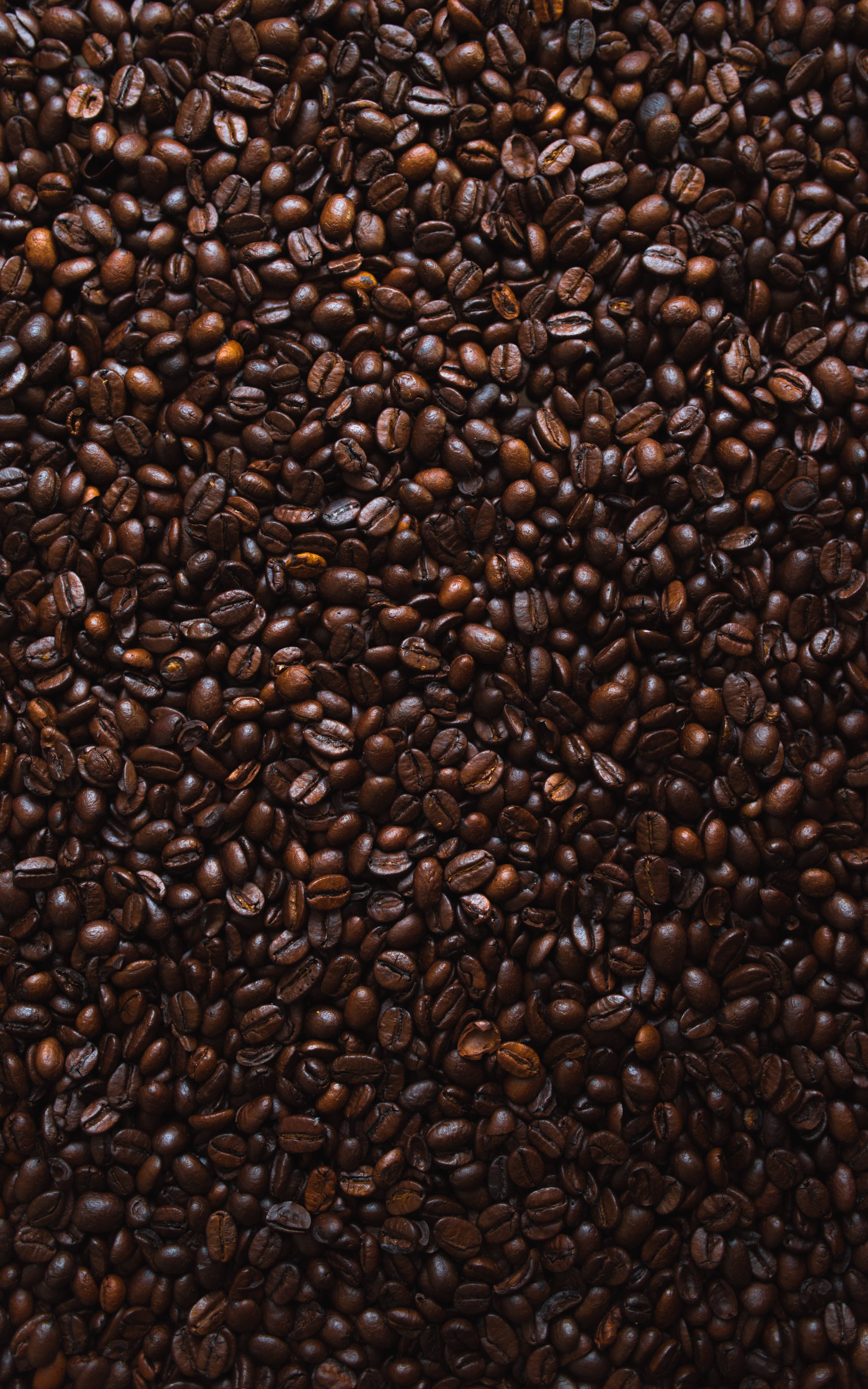 Patrón estético de café Fondos de pantalla