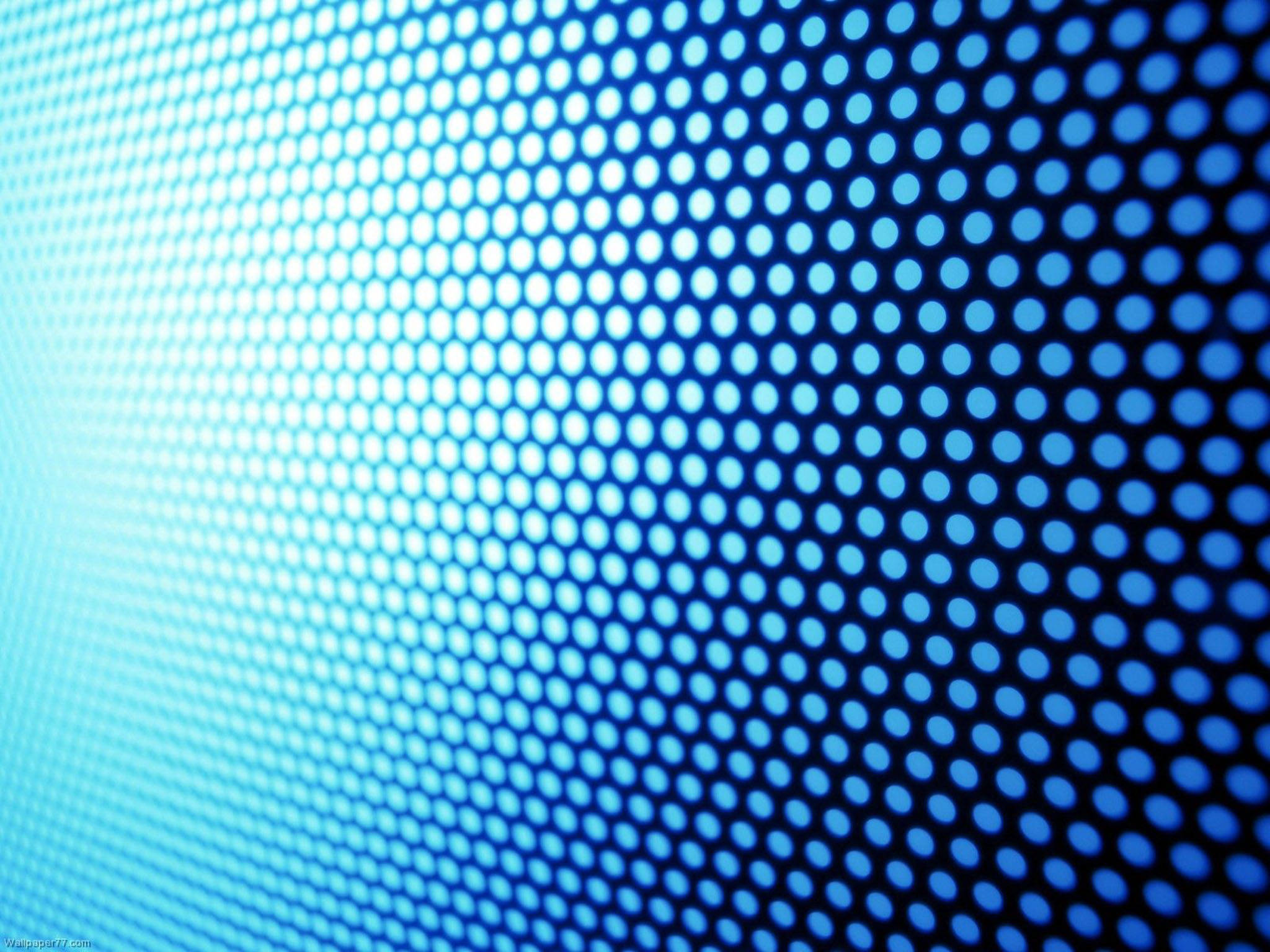 Patrón genial de puntos semitonos en azul Fondos de pantalla