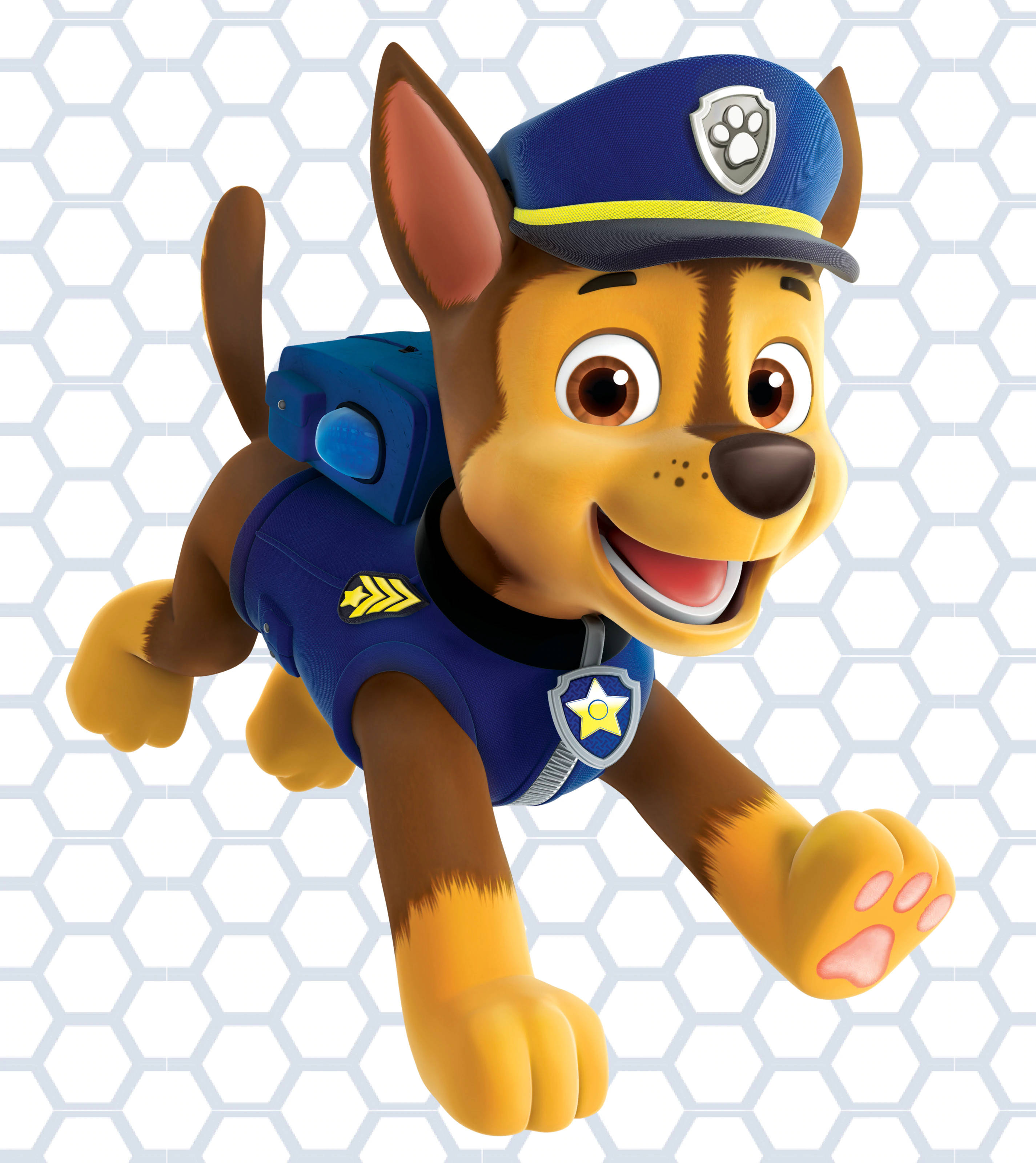 Paw Patrol Chase Fondos de pantalla