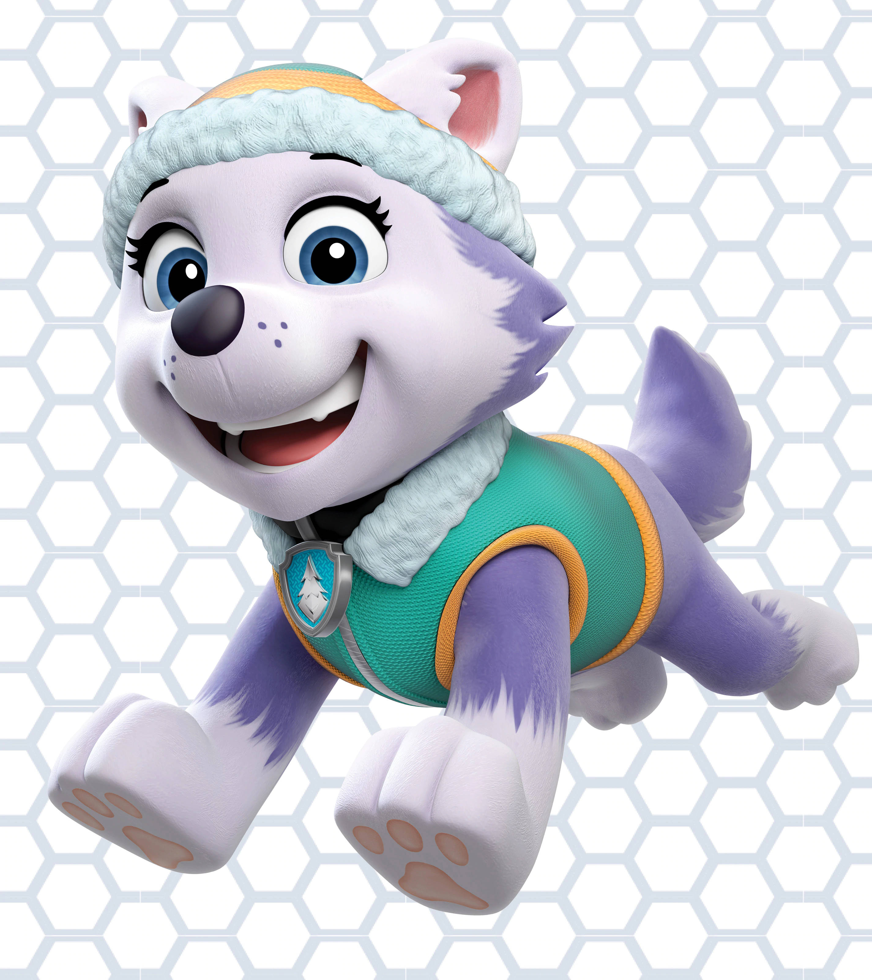 Paw Patrol Everest Fondos de pantalla