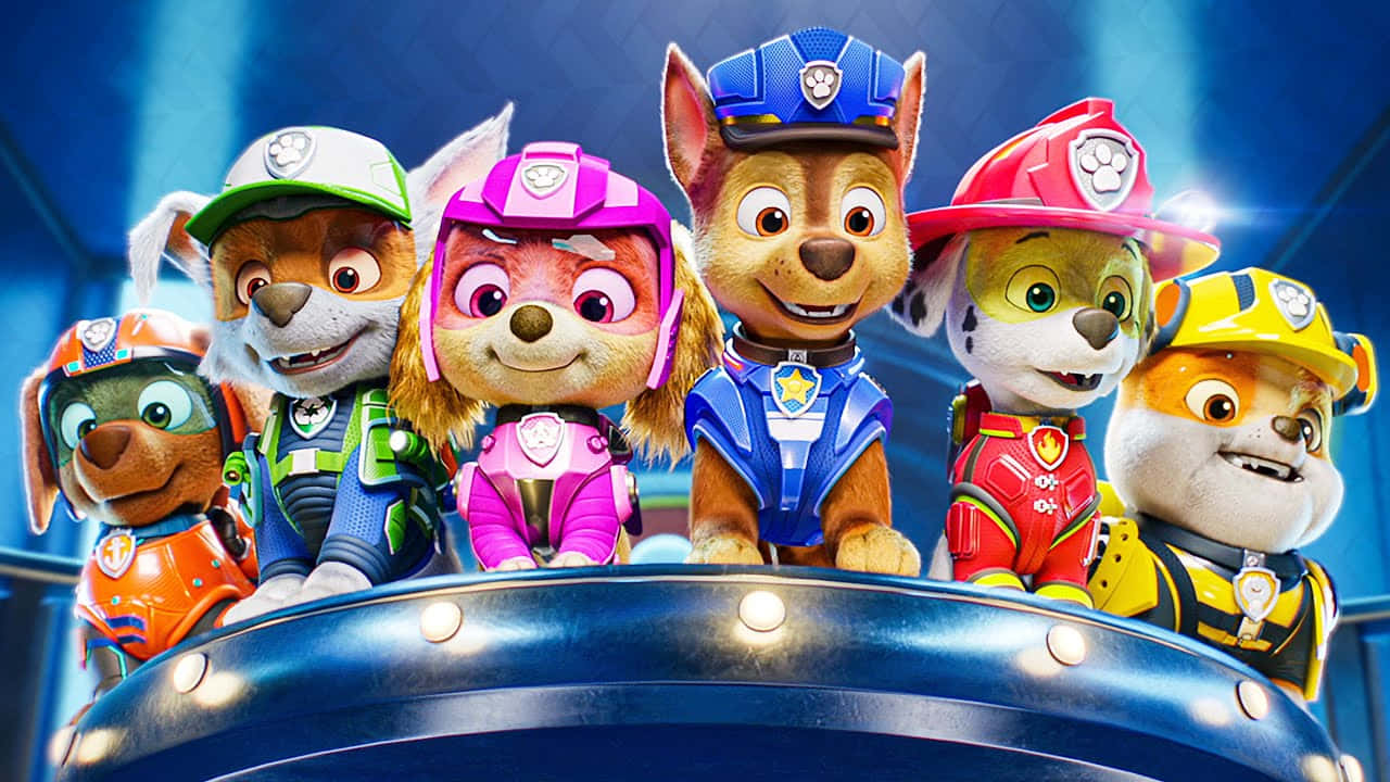 Paw Patrol La Película Cachorros Supervisando Fondos de pantalla