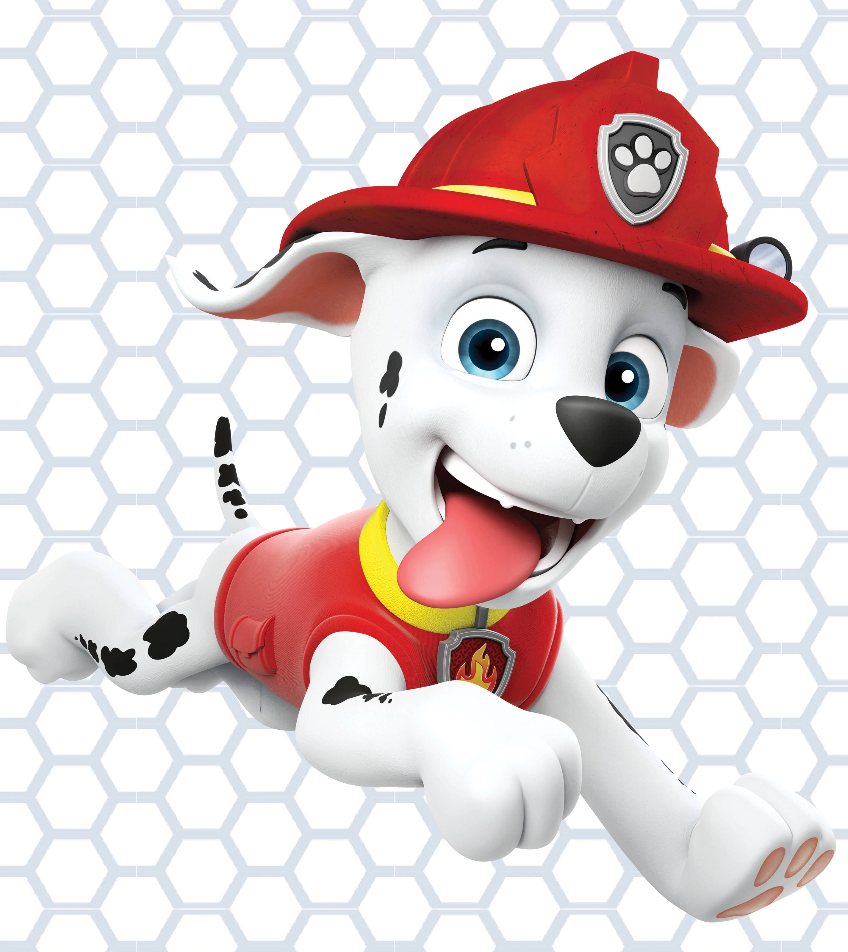 Paw Patrol Marshall Fondos de pantalla