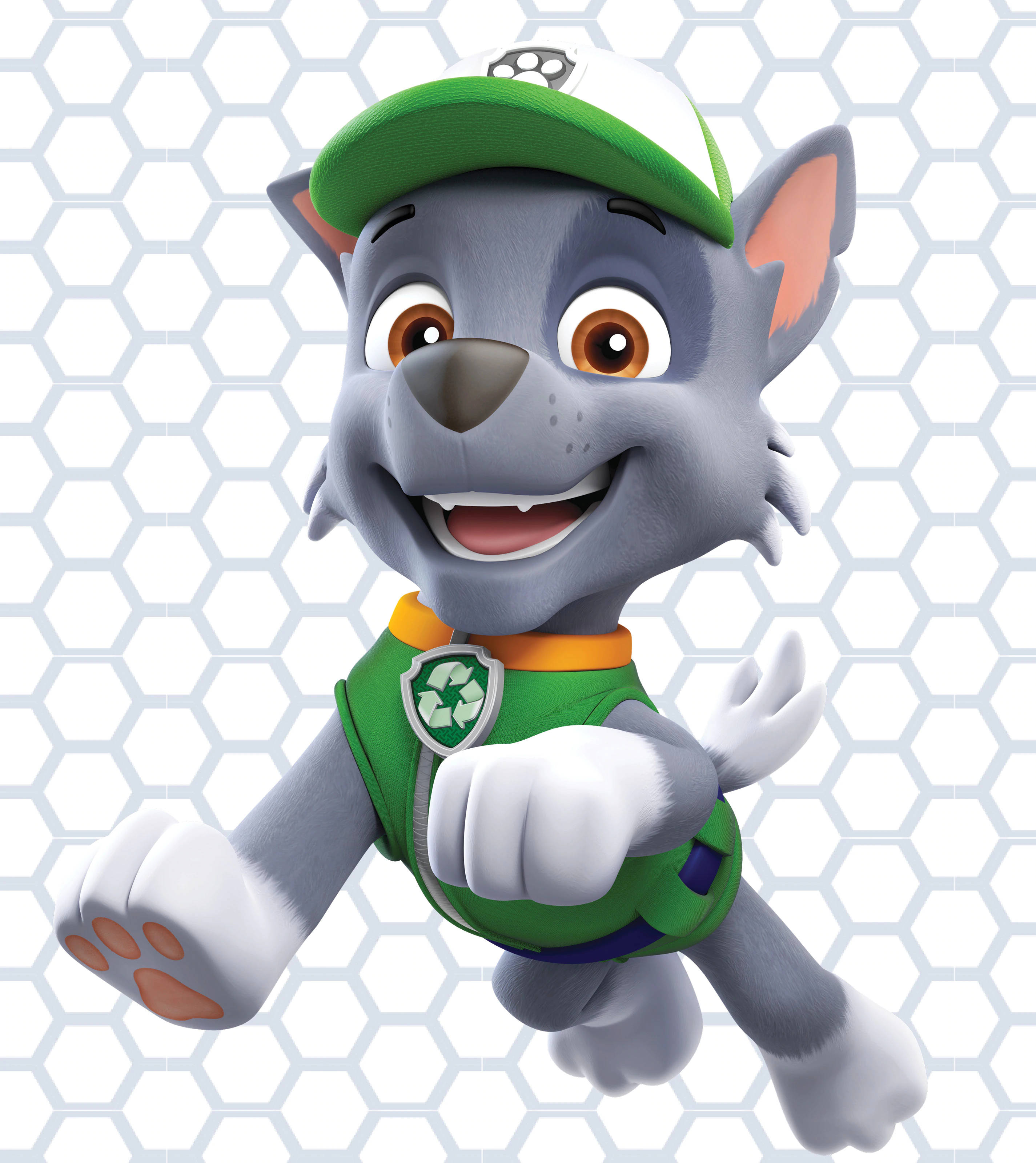 Paw Patrol Rocky Fondos de pantalla
