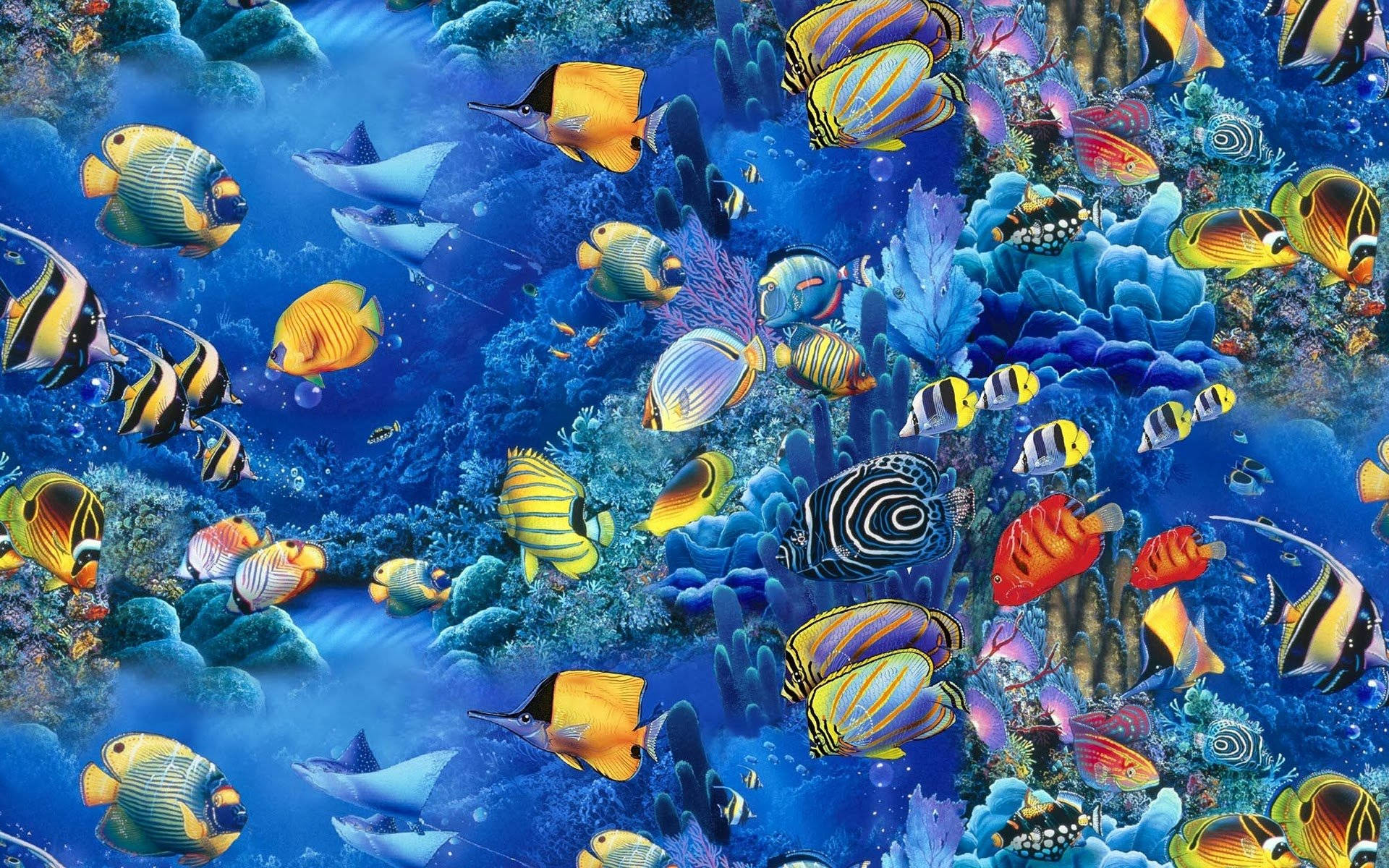 Peces Geniales en Arrecife de Coral Azul Fondos de pantalla