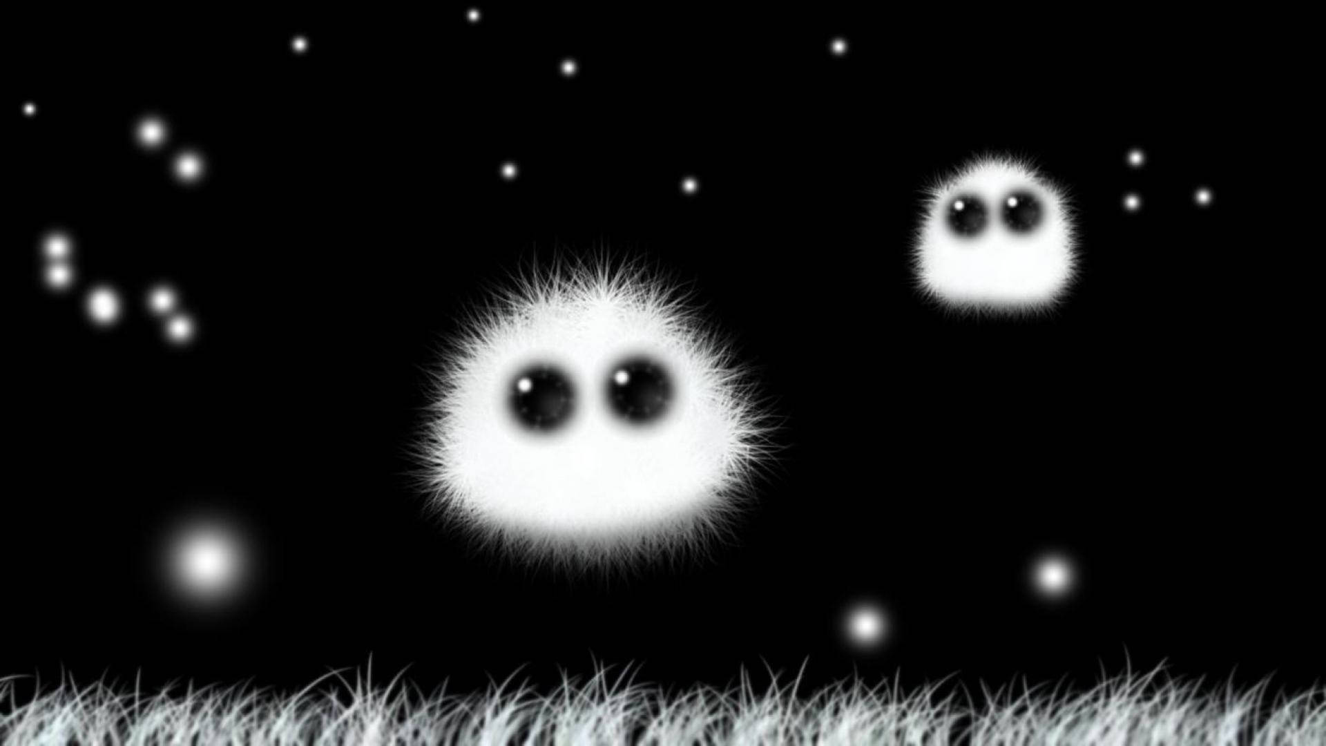 Pelaje blanco y negro adorable Fondos de pantalla