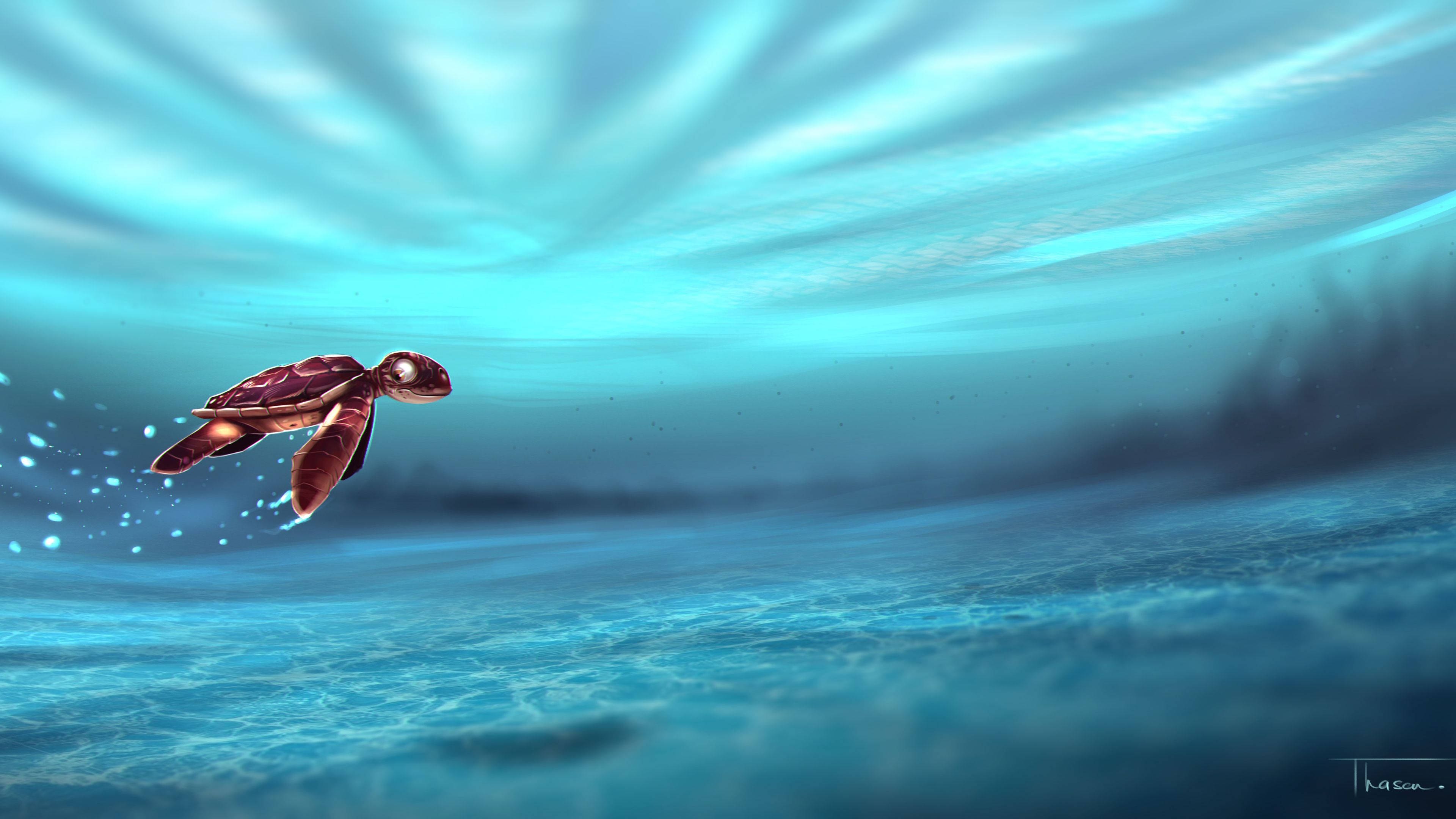 Pequeña Tortuga Genial Bajo el Agua Fondos de pantalla