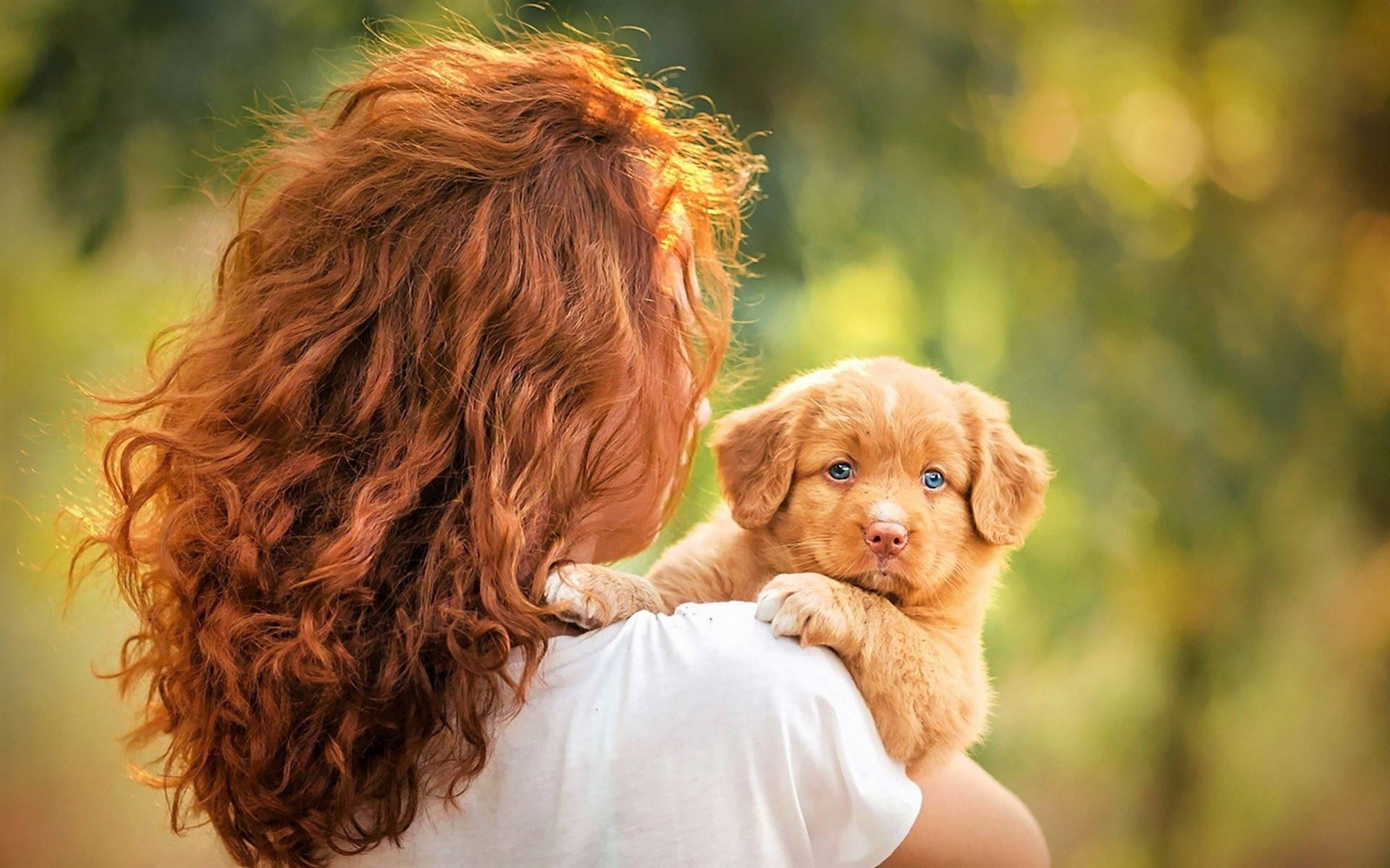Pequeño cachorro dorado y mujer Fondos de pantalla