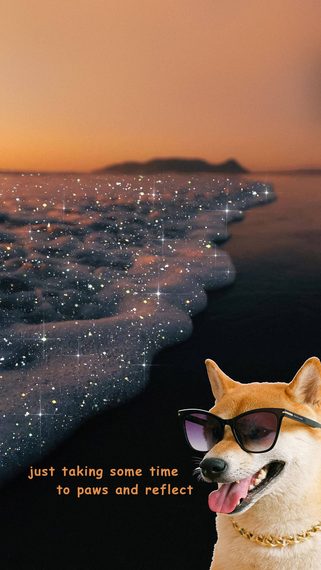 Perro en la Playa Estética Divertida Fondos de pantalla