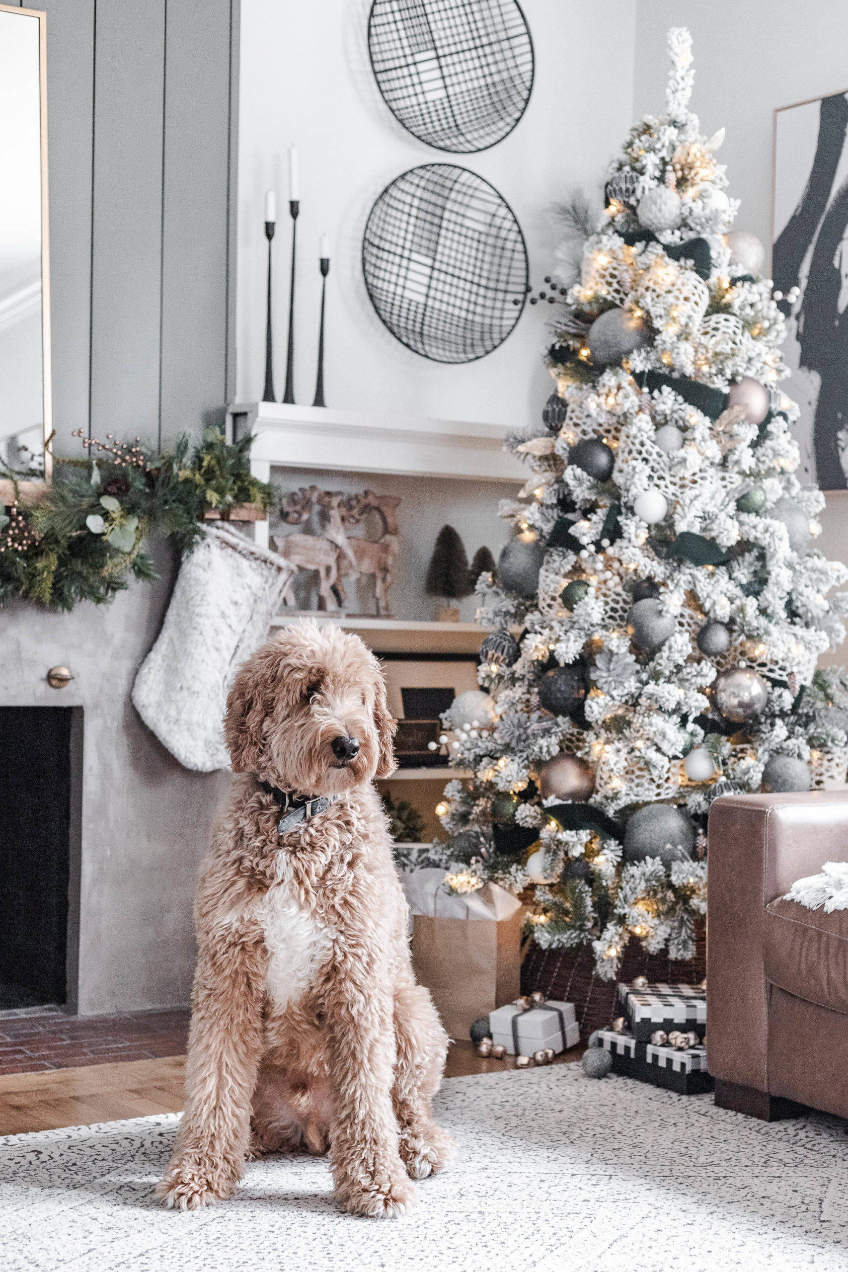 Perro Lindo con Estética Navideña Acogedora Fondos de pantalla