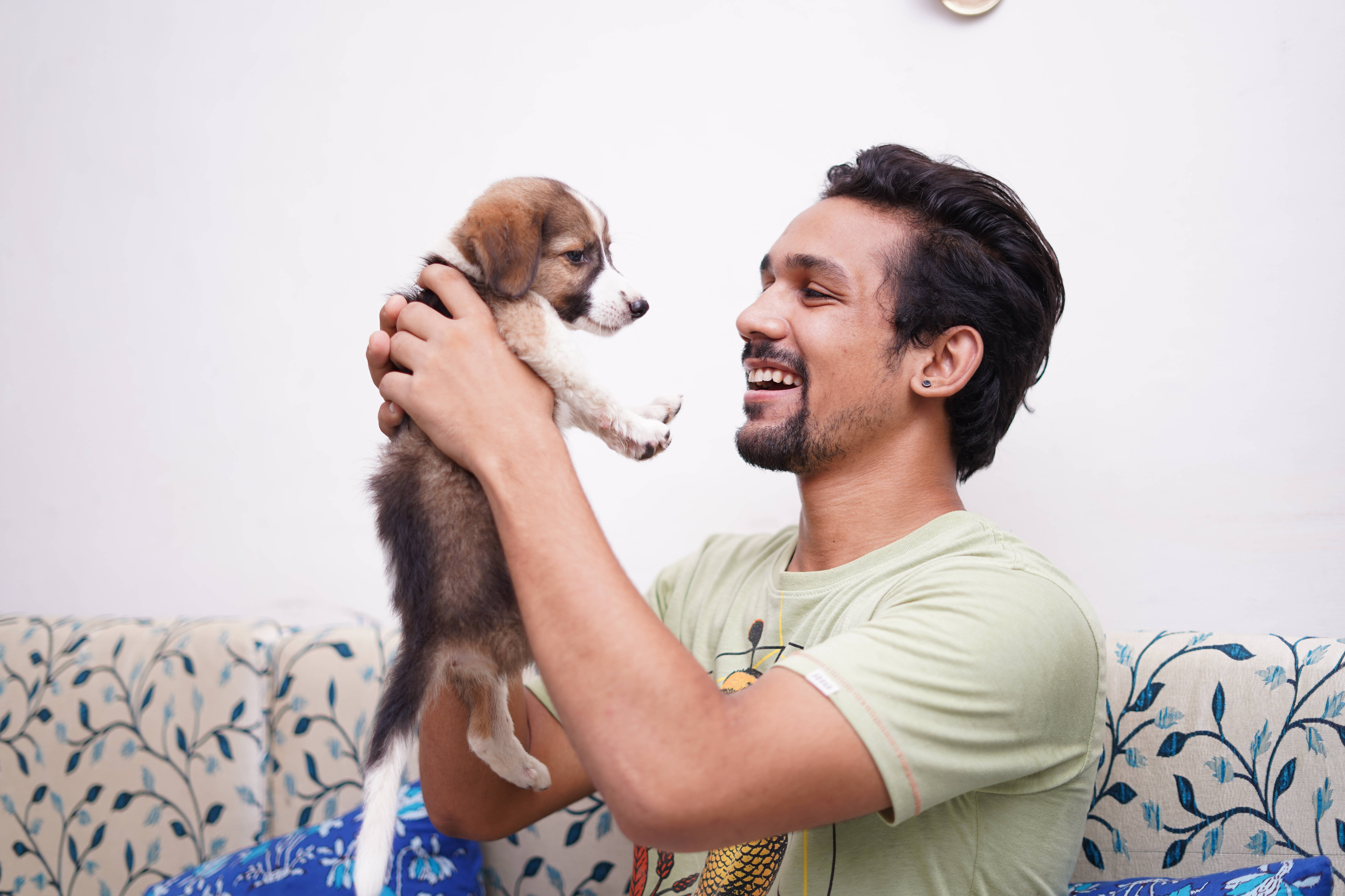 Perro Lindo Criado por Dueño Hombre Fondos de pantalla