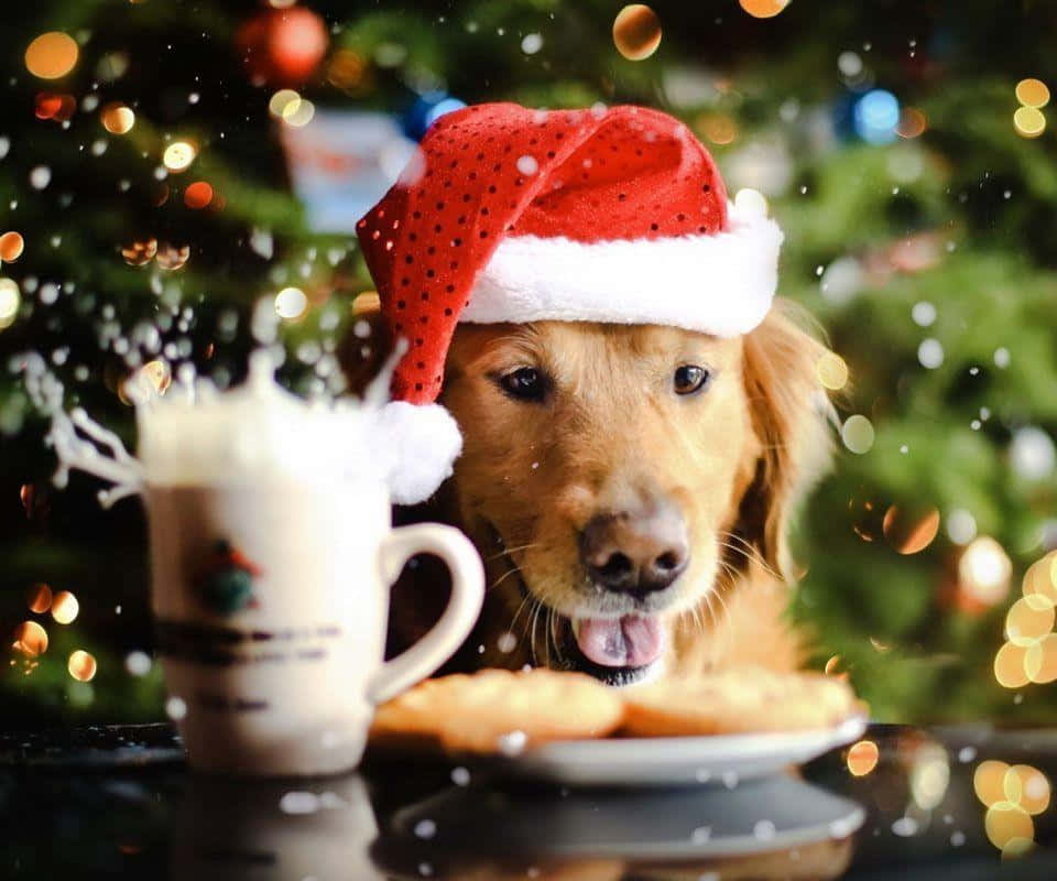 Perro Navideño con Galletas y Ponche de Huevo Fondos de pantalla