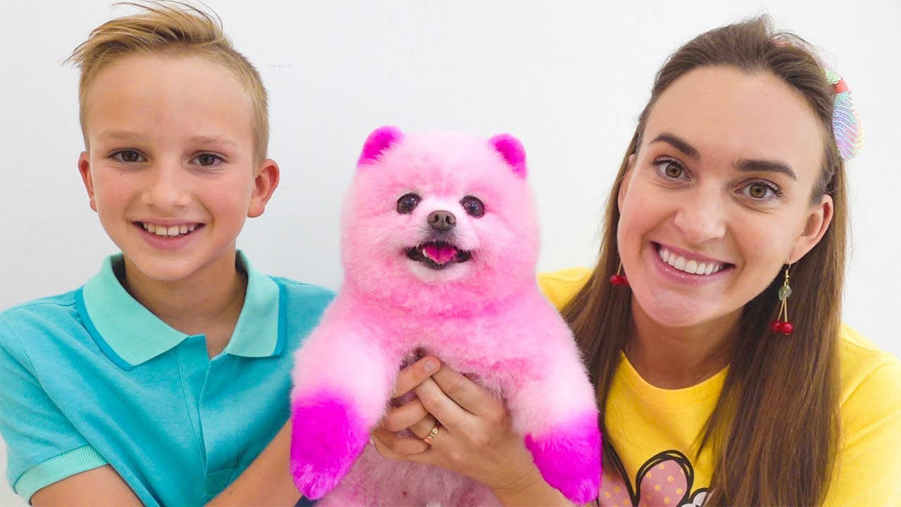 Perro Rosa de Vlad y Niki Fondos de pantalla